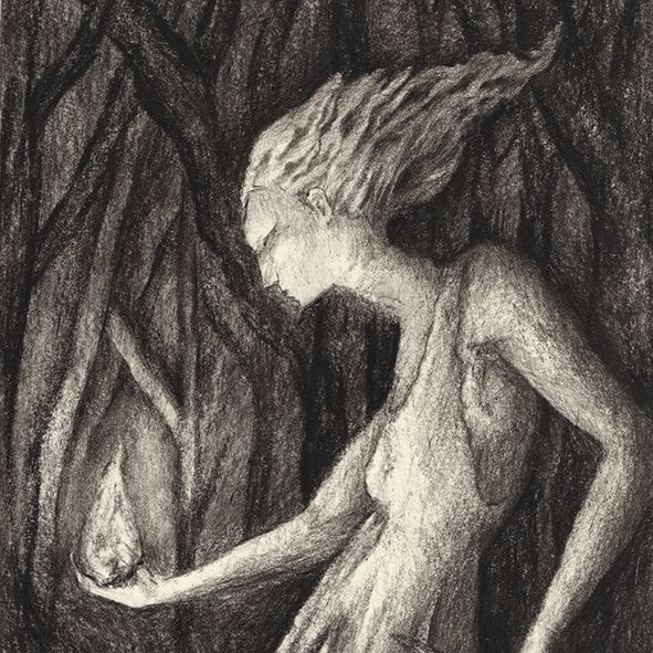 Illustrations - Sketchbook 2024