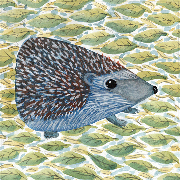 Illustrations - Libros infinitos