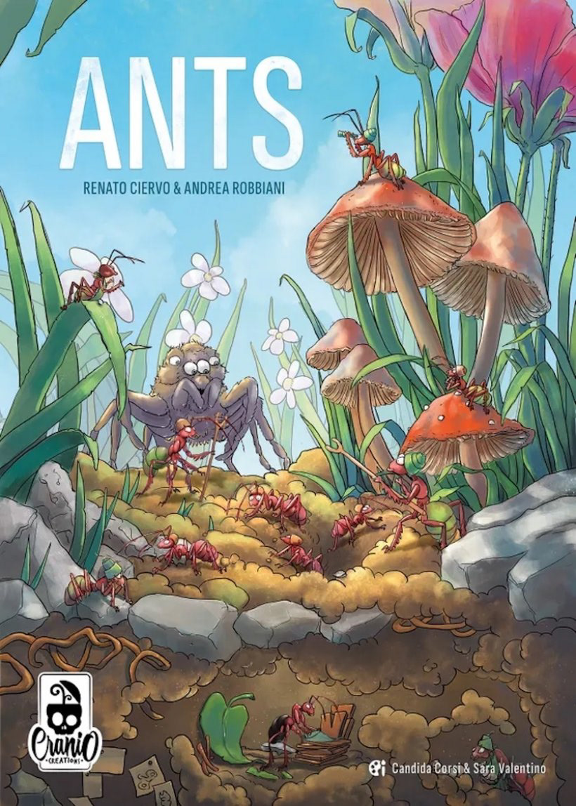 Ants - Cover