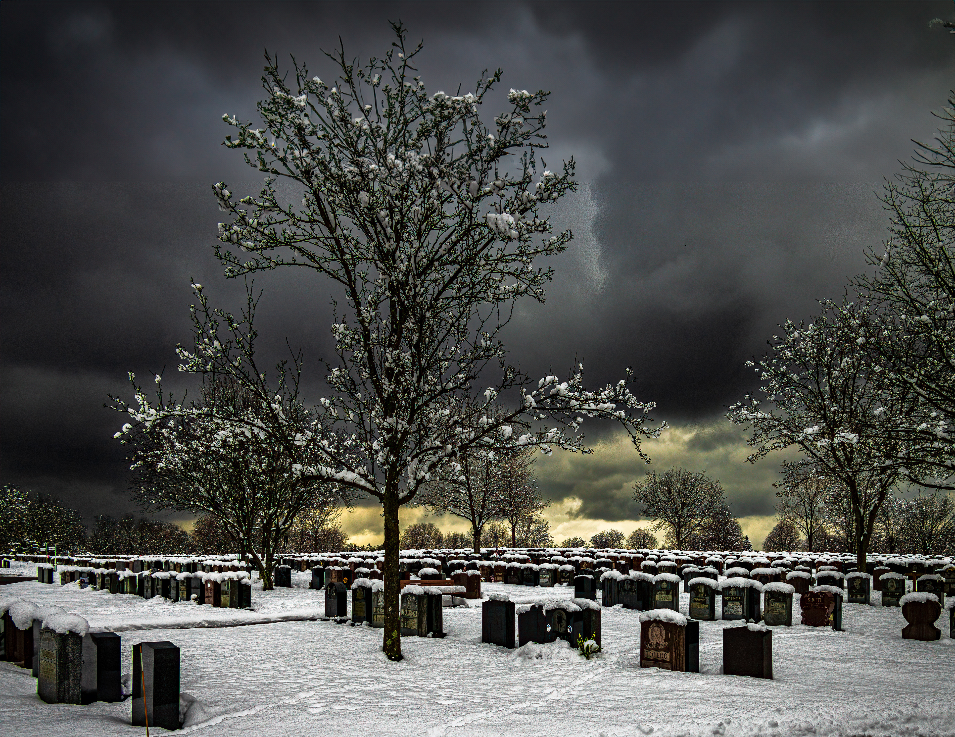 Cold and Lonely