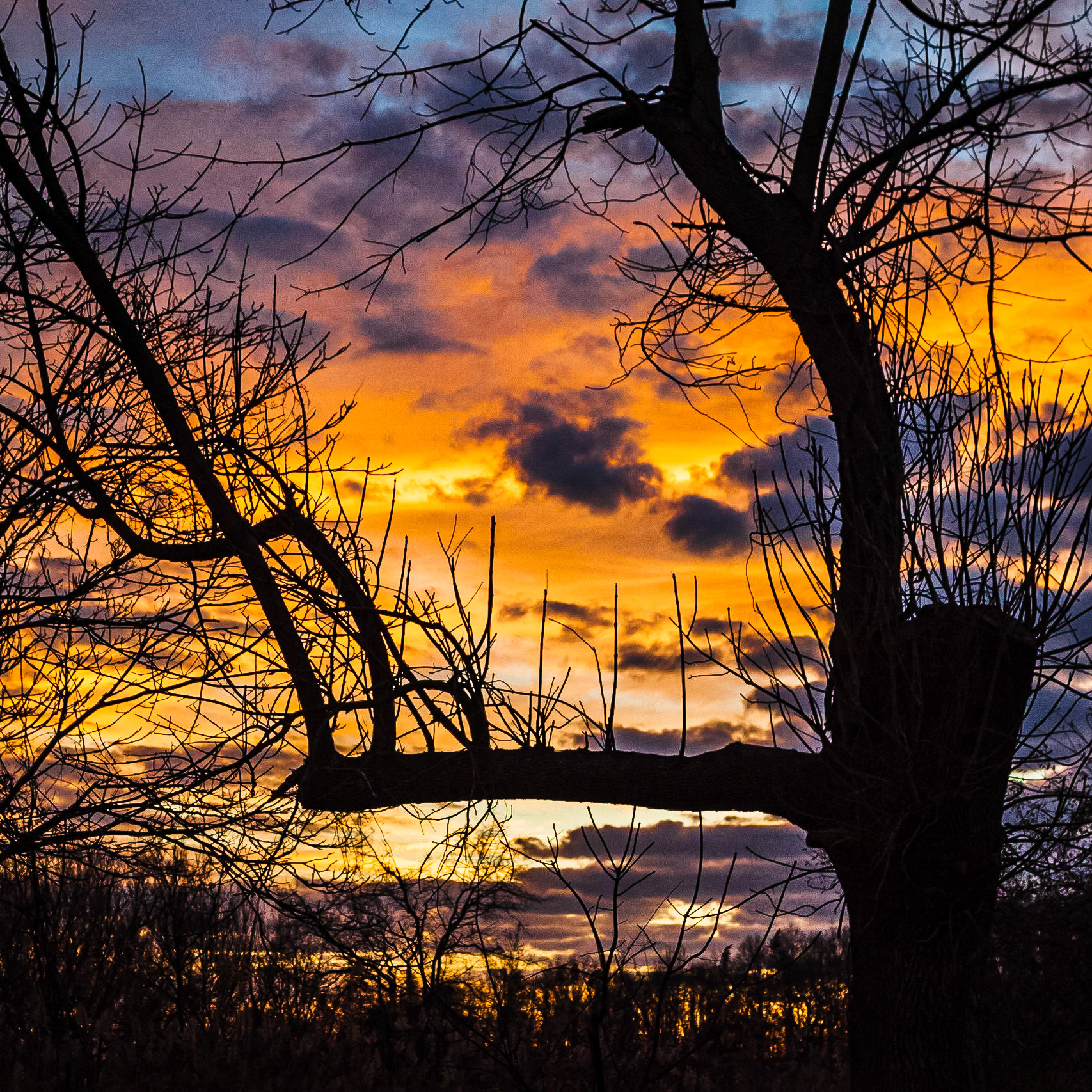 Sunrise