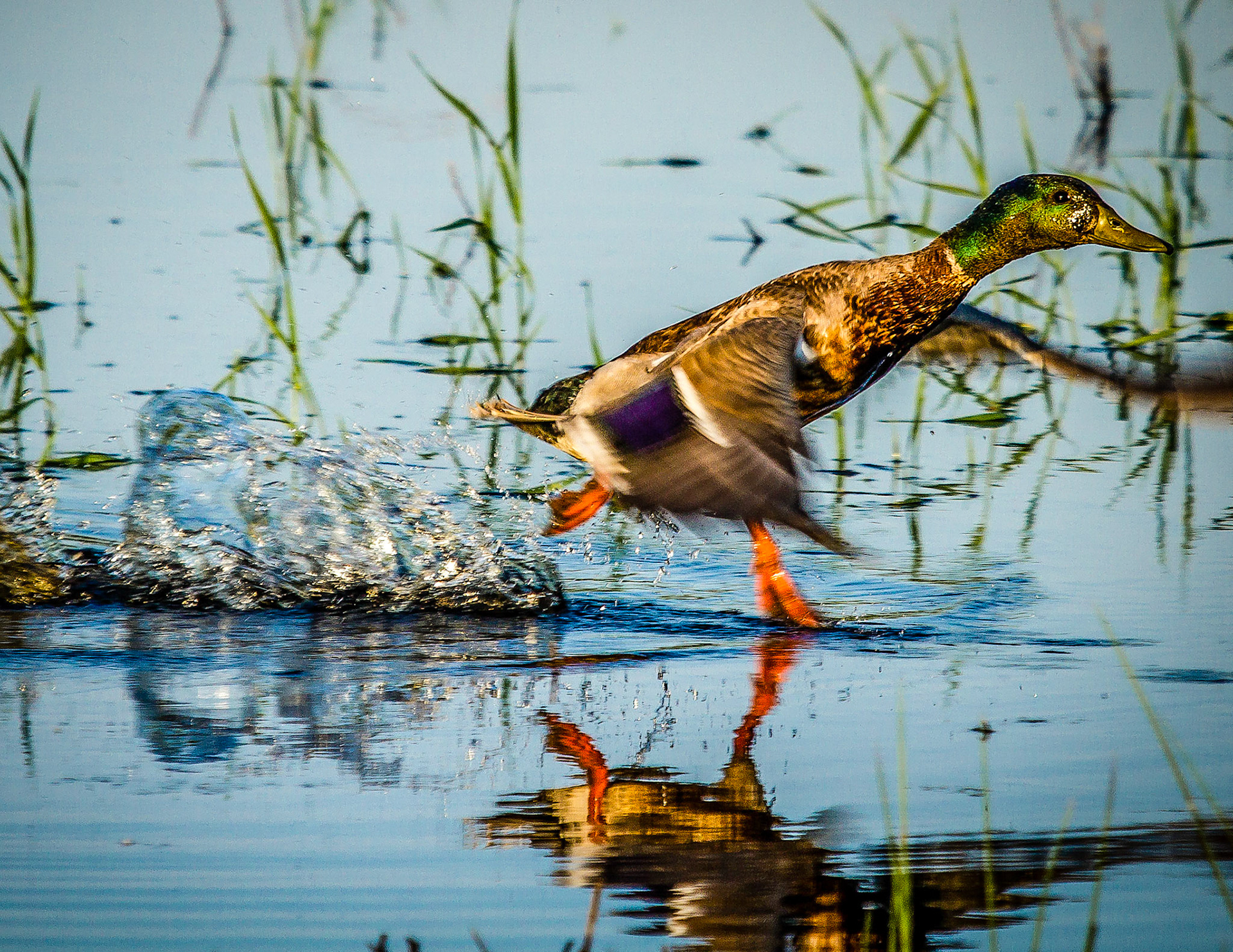 Takeoff