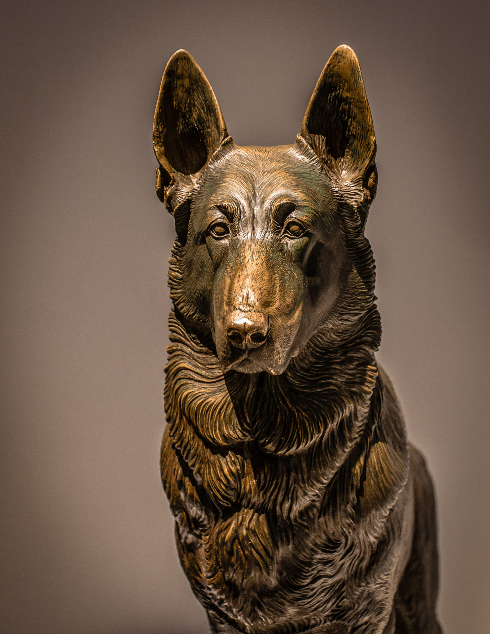 On Guard