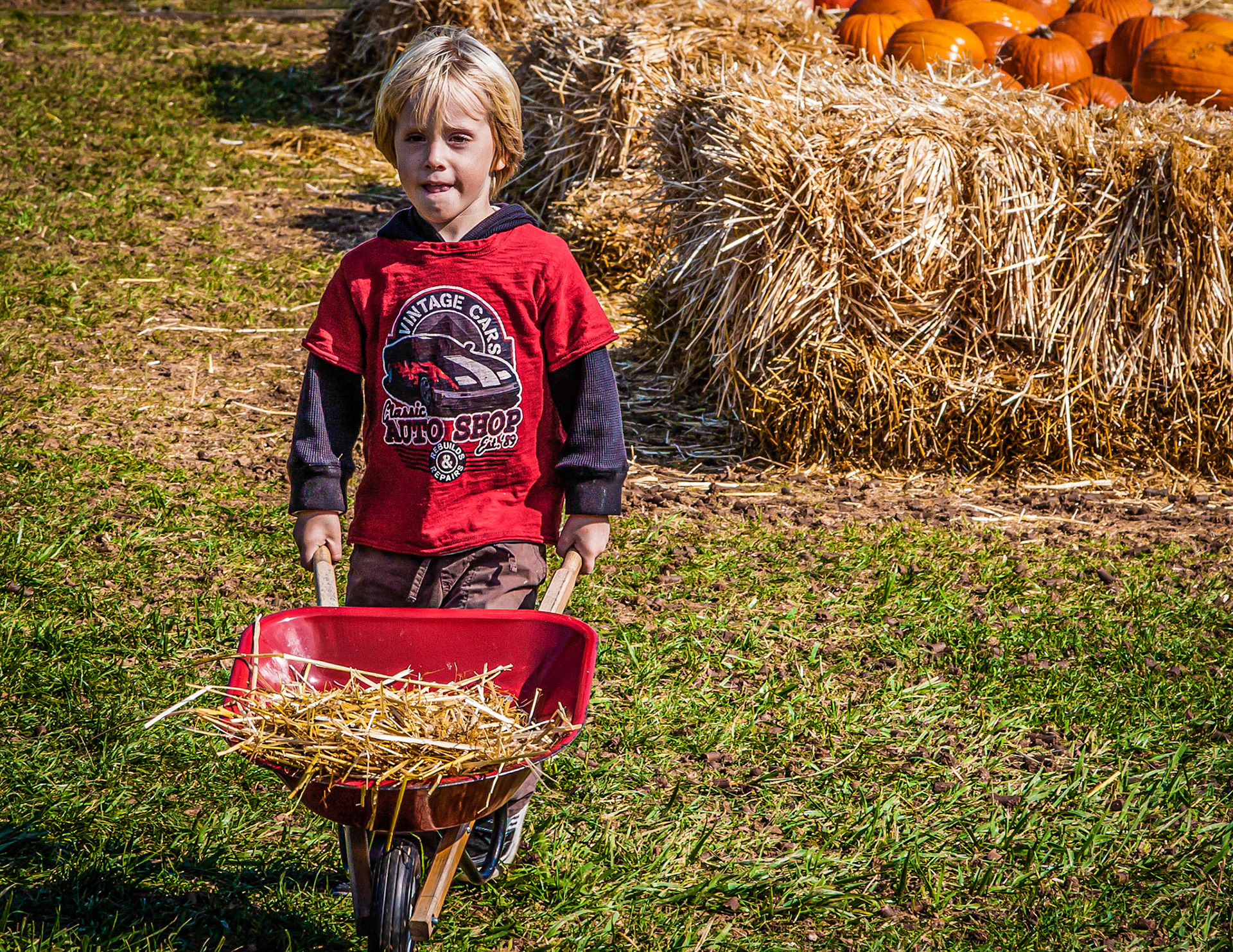 Future Farmer?