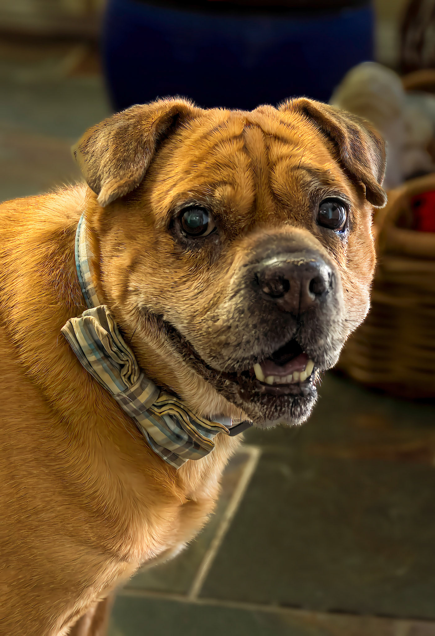 Did you say Treats?