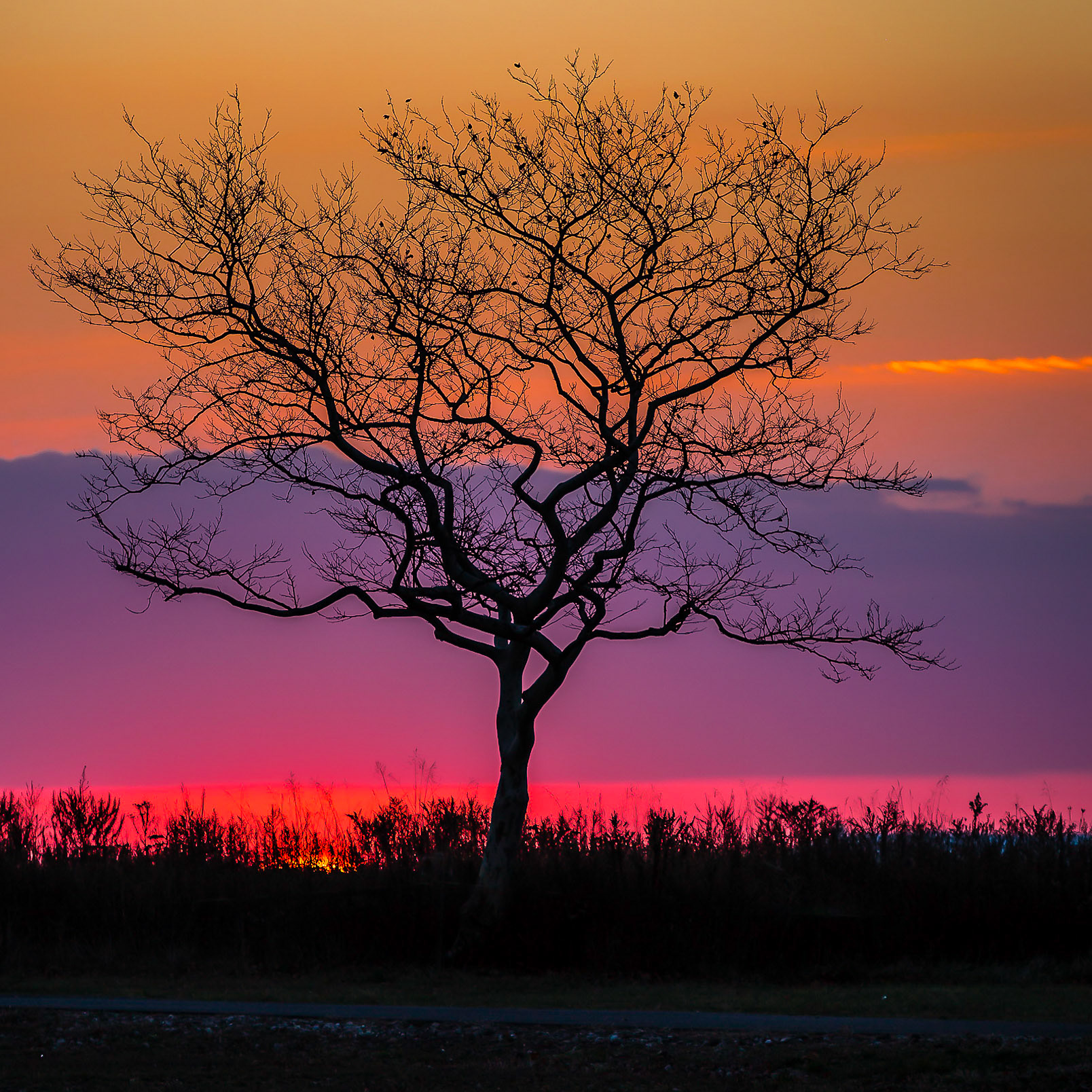 Dawn