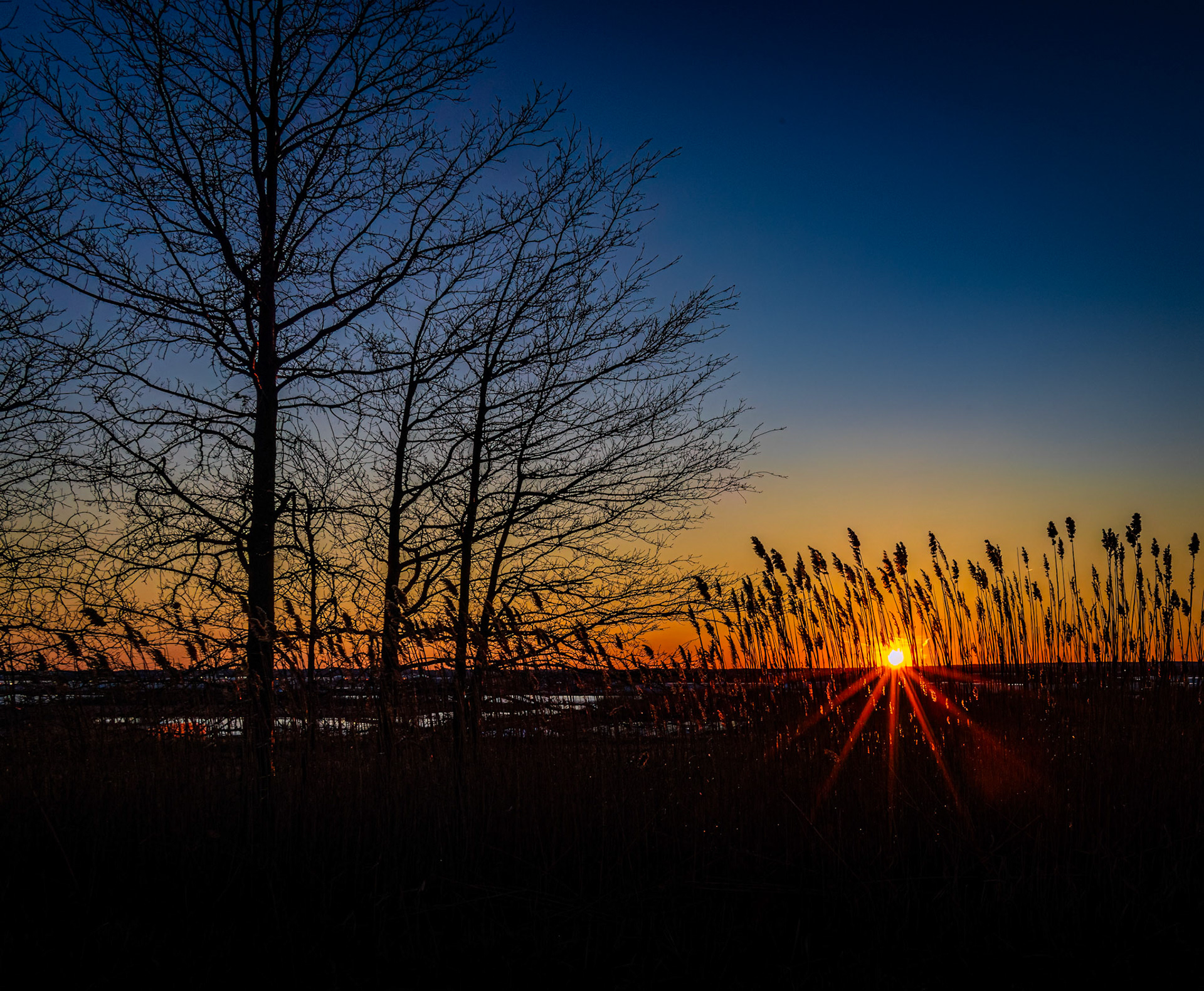Evening in the Marsh