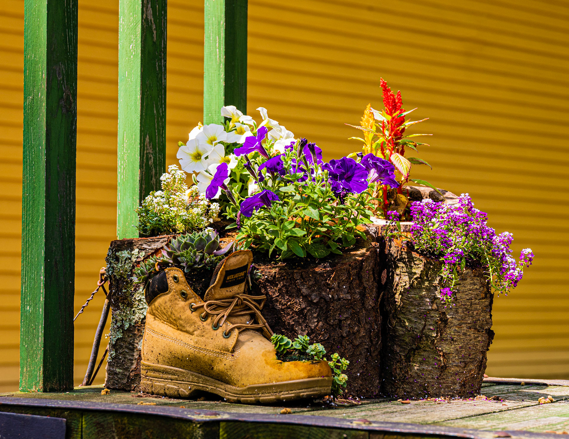 New Flowerpot