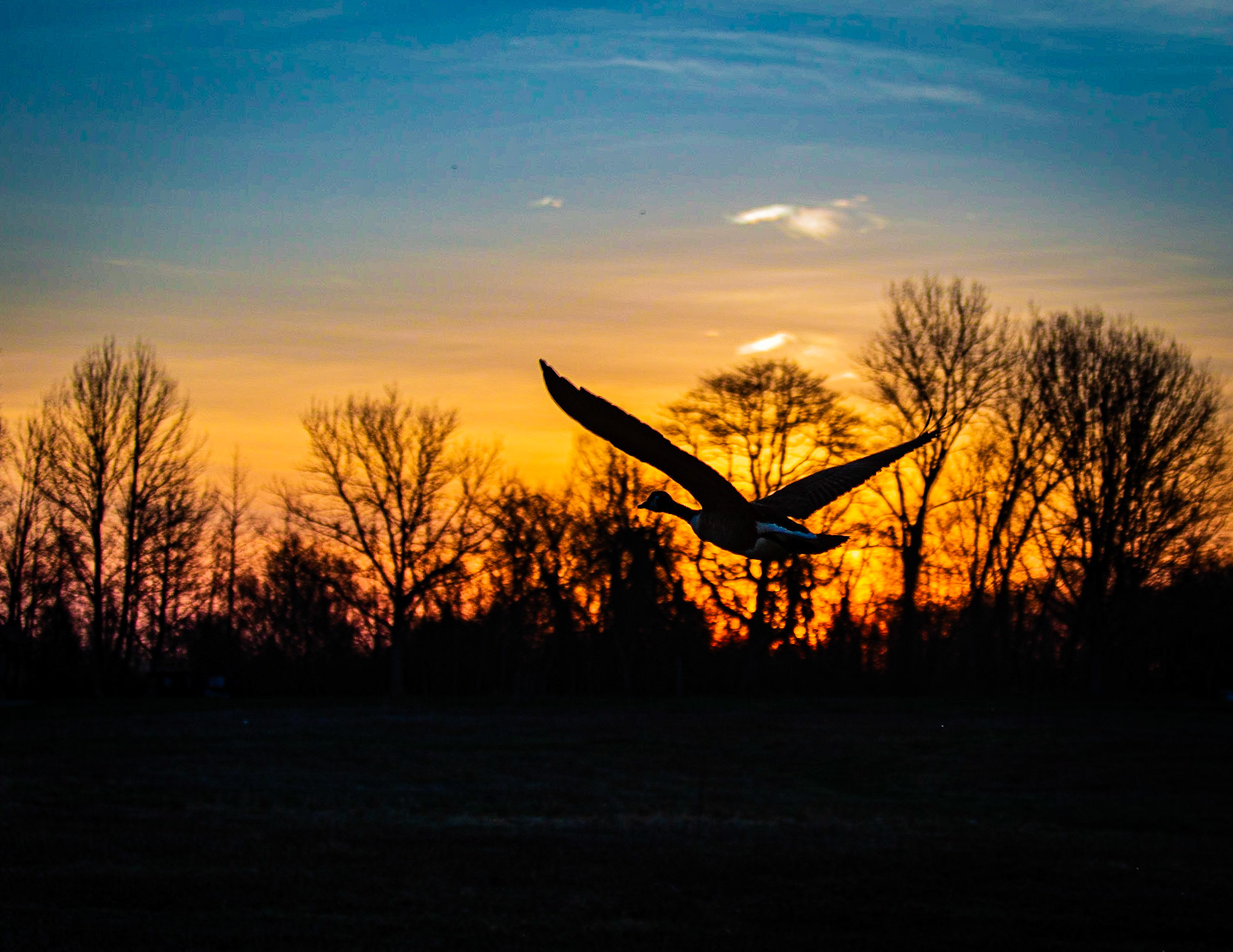 Early Morning Flight