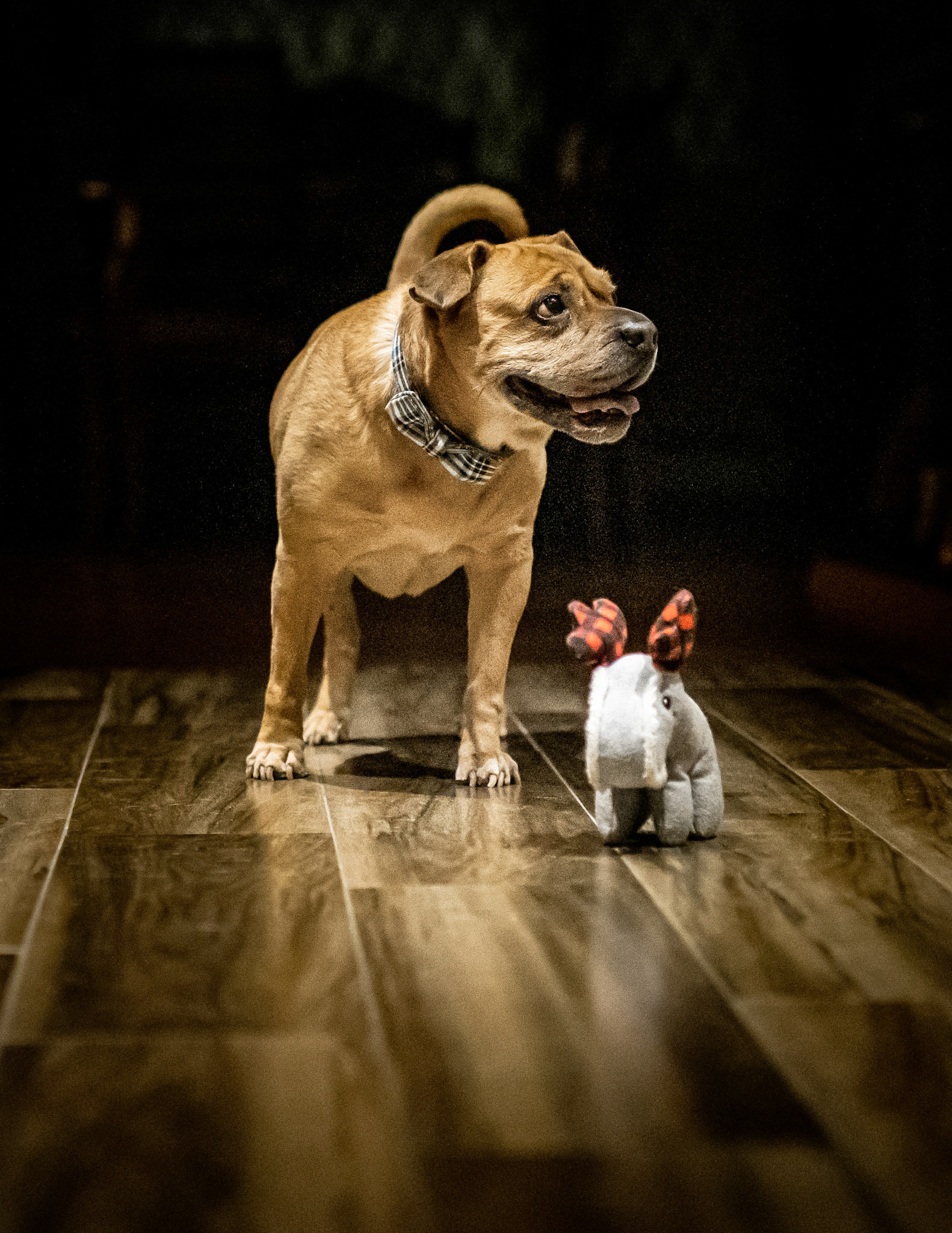 Ralphie and his Little Friend
