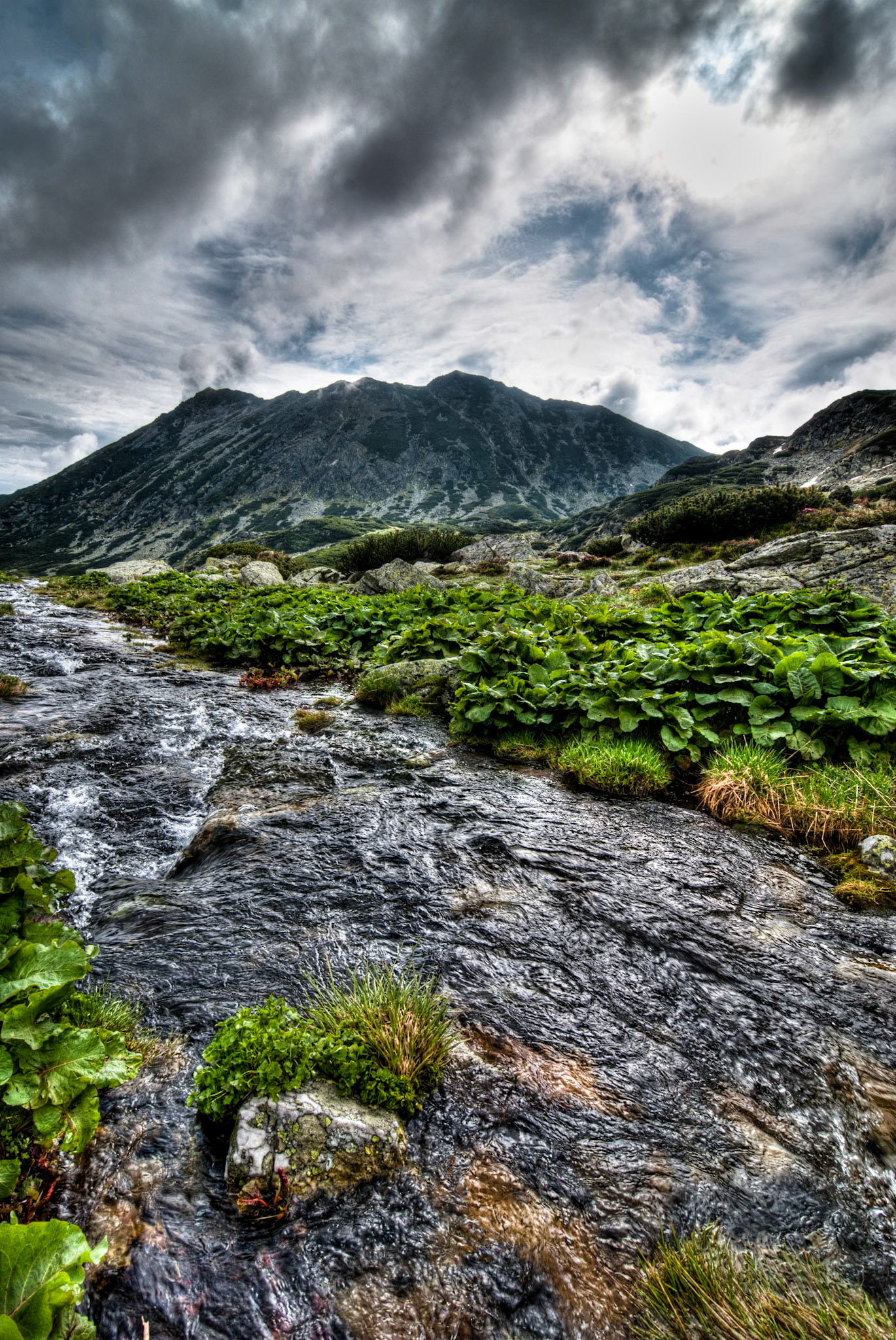 Mounti Retezat, Roumanie