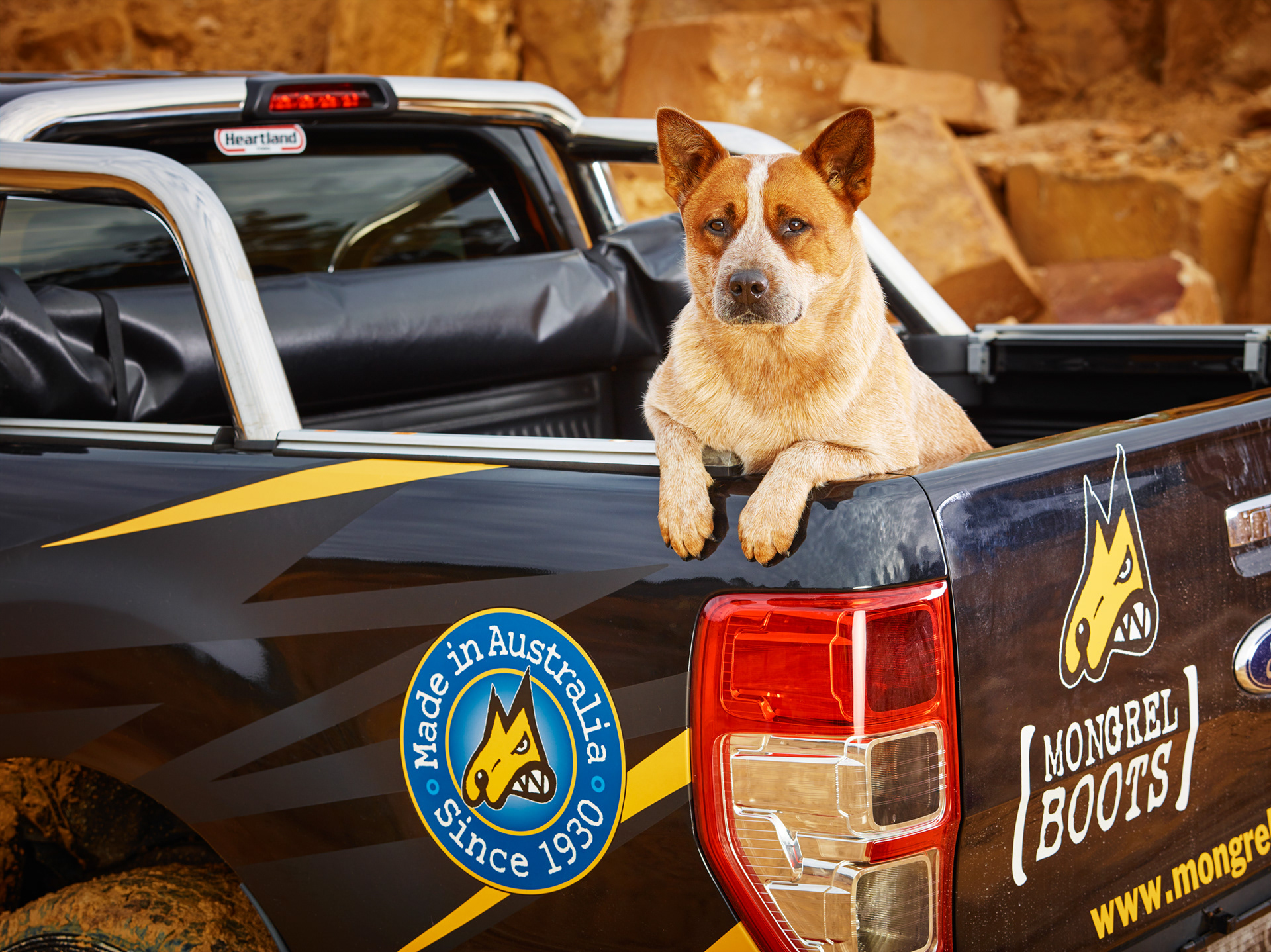 MONGREL BOOTS