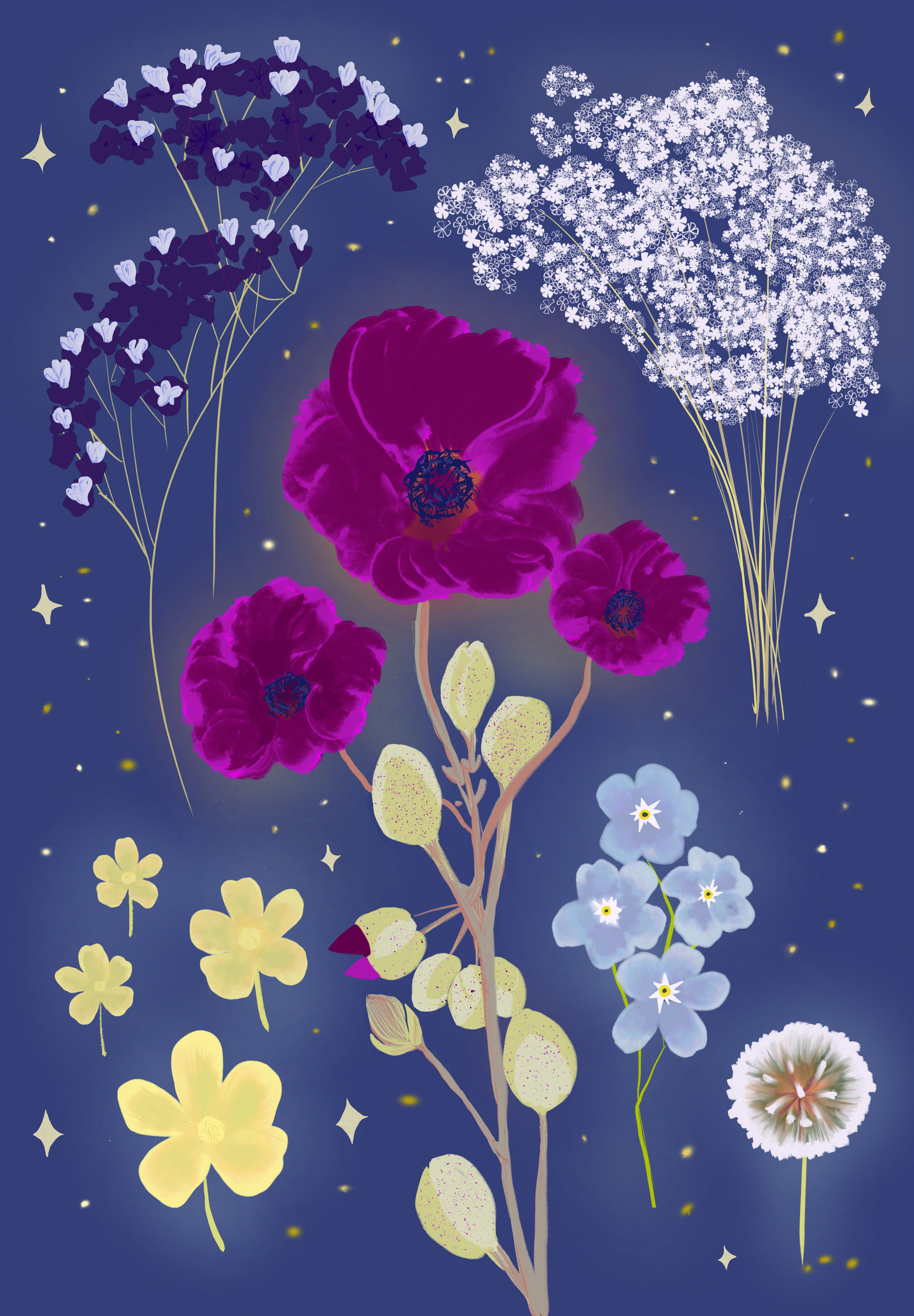 Summer Wildflowers Stars Midnight, digital illustration, created with Adobe Fresco