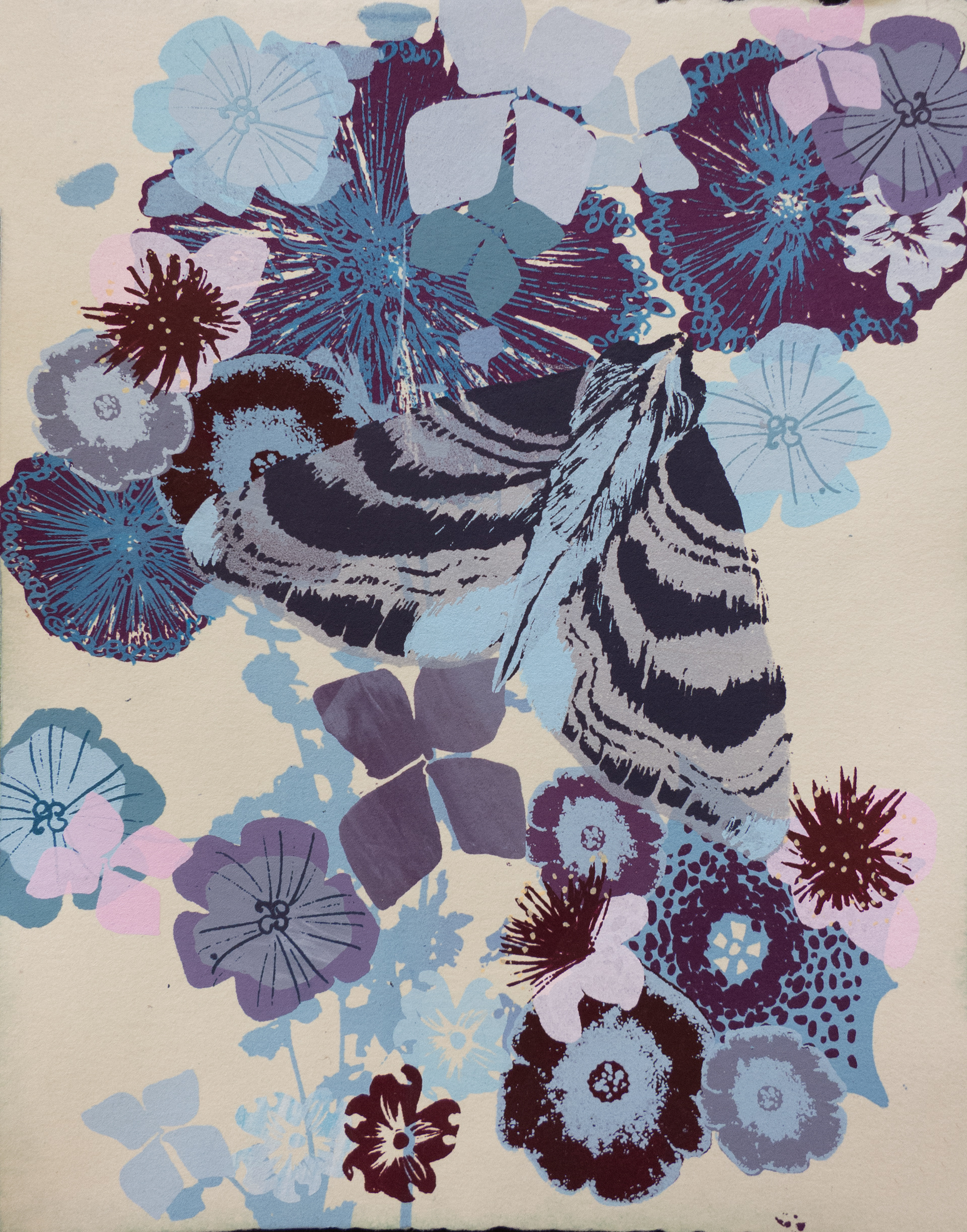 Blue Hydrangea Moth, silkscreen on hand dyed paper. 5" x 7" From the Good Omens series