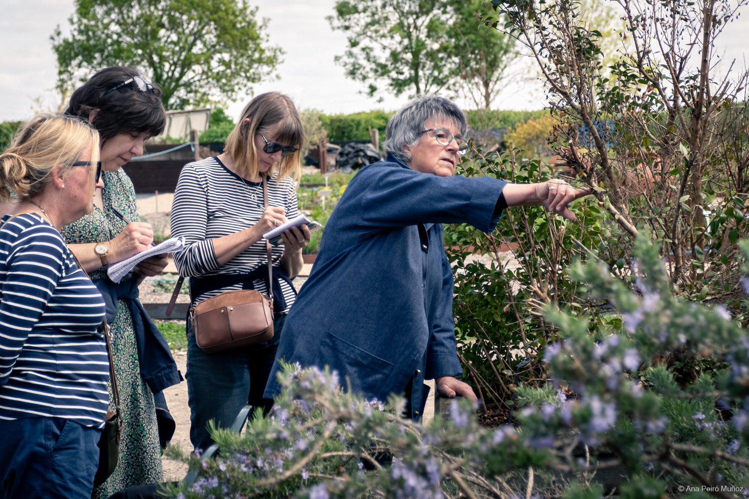 Private Herbetum tour with Jekka