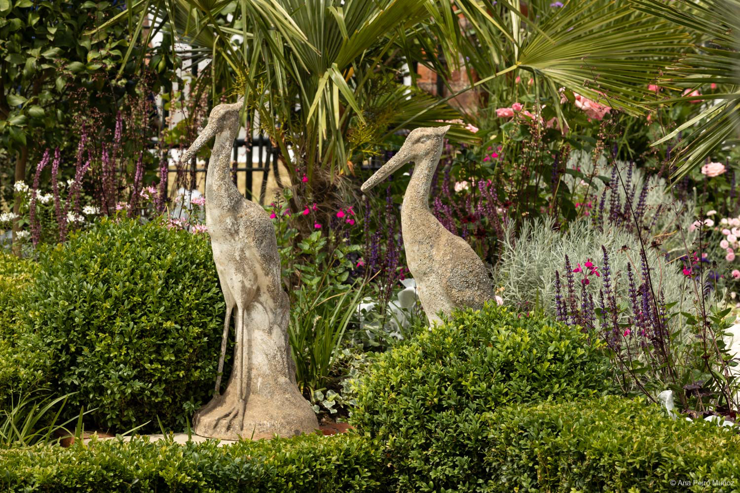 Explore Charleston - Welcome To Charleston Garden. Designer: Sadie May Stowell.