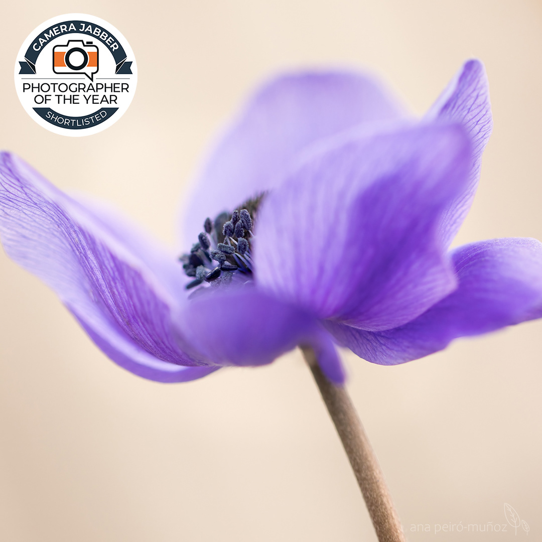 CJPOTY 2023 - Spring - shortlist