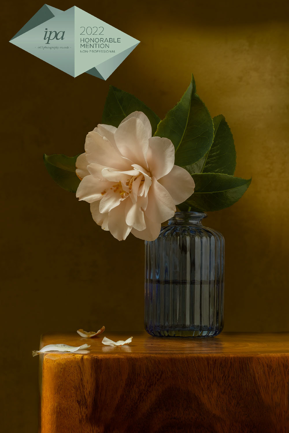 ipa 2022 - fine art, still life