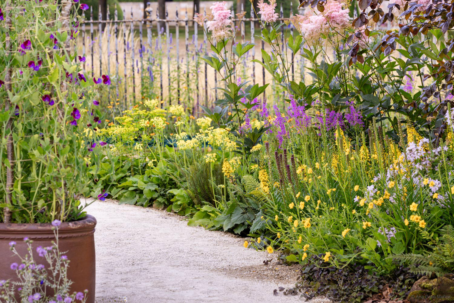 RHS Iconic Horticultural Hero garden by Carol Klein