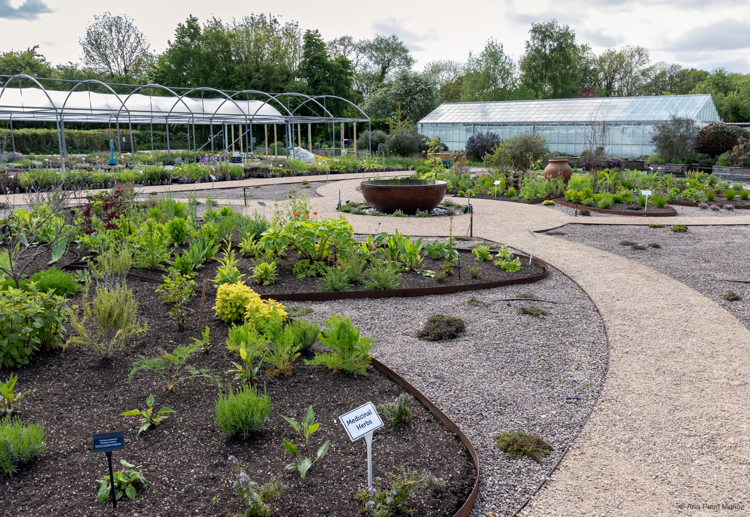 Medicinal Herbs at Jekka's Herb Garden