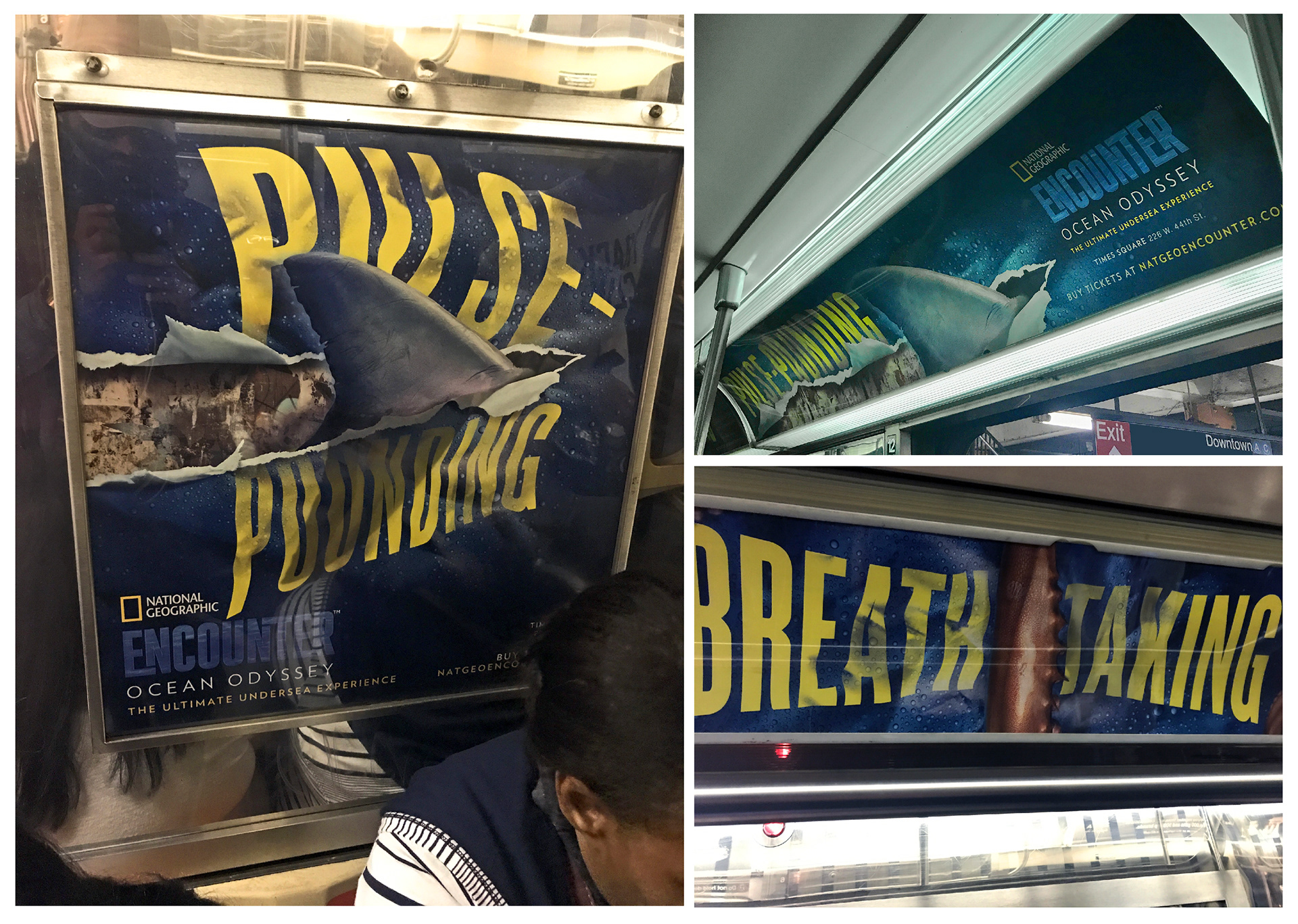 Nat Geo signage production and design (Serino Coyne)