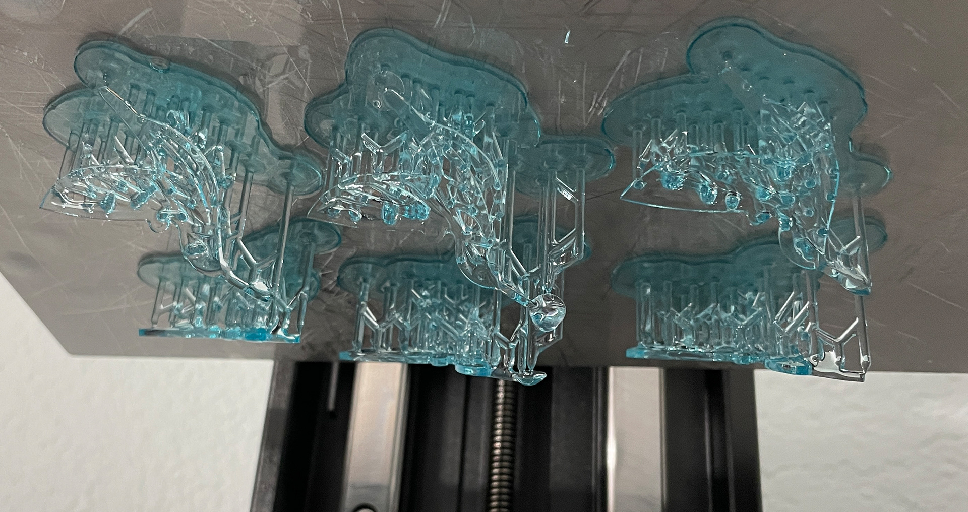 Client sourced model humming bird earrings. Printed with ABS like resin