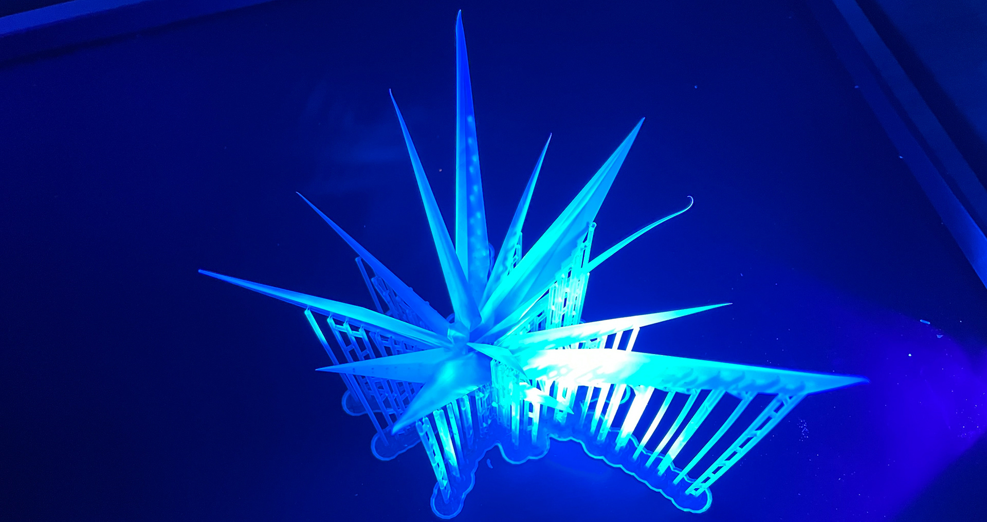 Gem Sculpture: Cleaned and cured