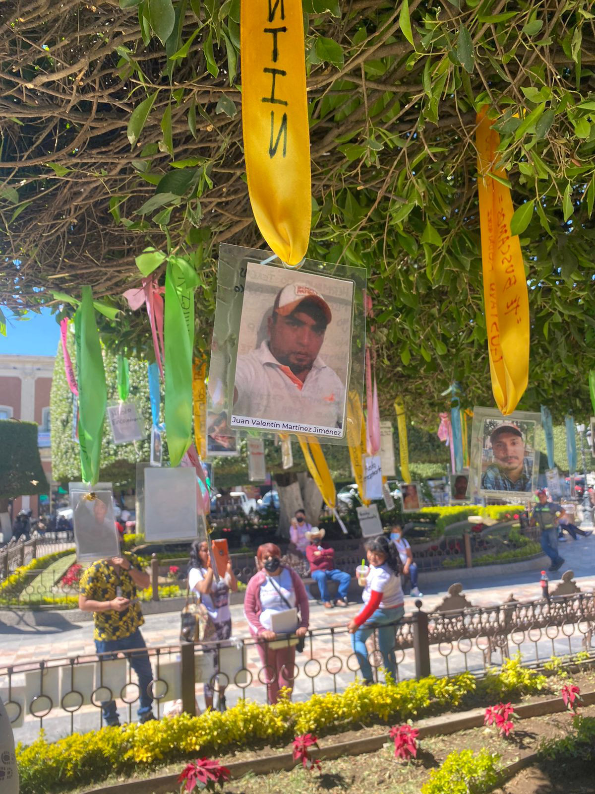 Each piece of the memorial is a ribbon tied to a tree with written statements, a laminated photograph of the disappeared person with written information on when and where they were last seen.