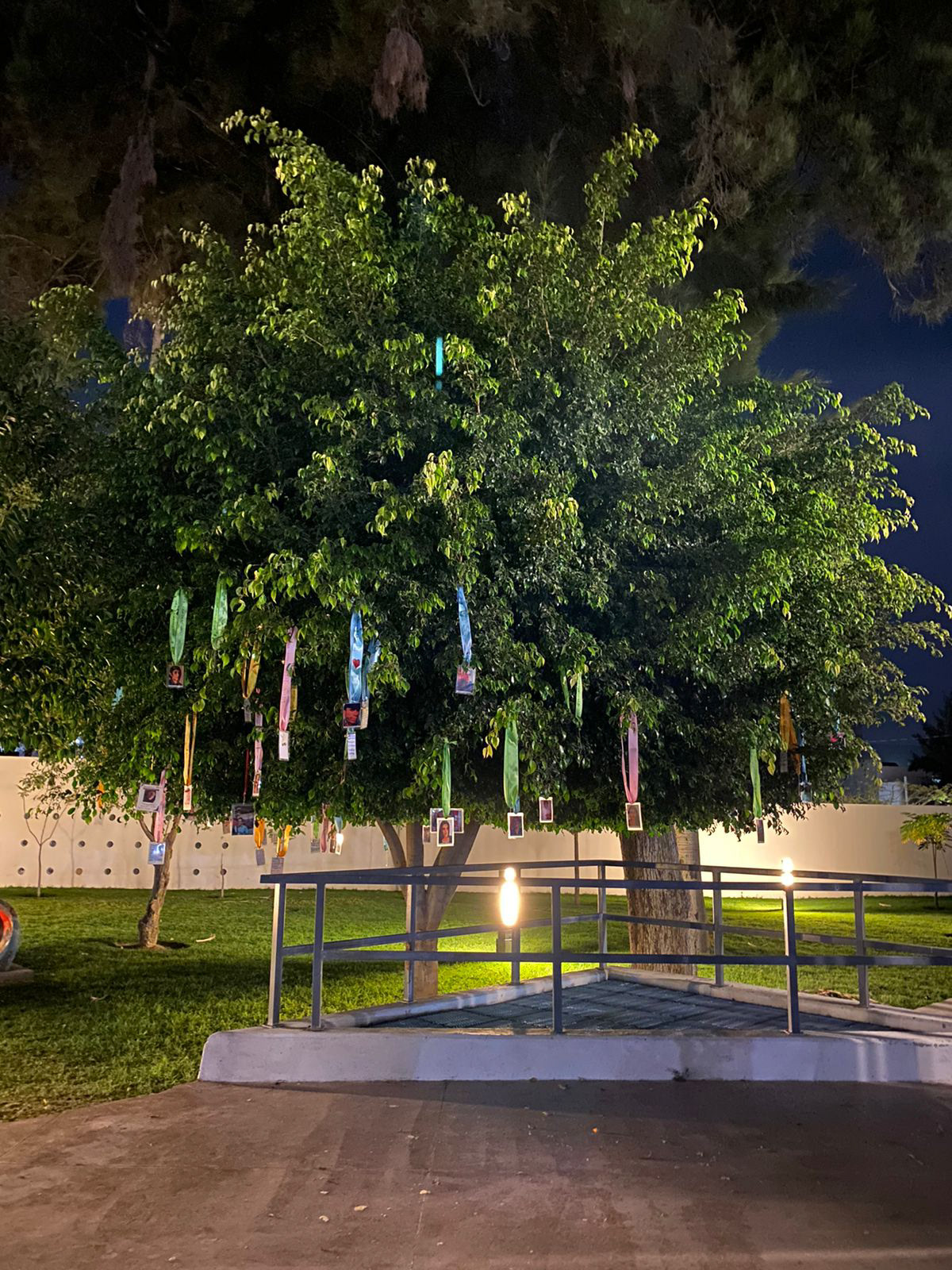 El Memorial Disperso en Irapuato. Miembros de la ONG "Hasta Encontrarte" se reúnen para hacerse una foto de grupo.