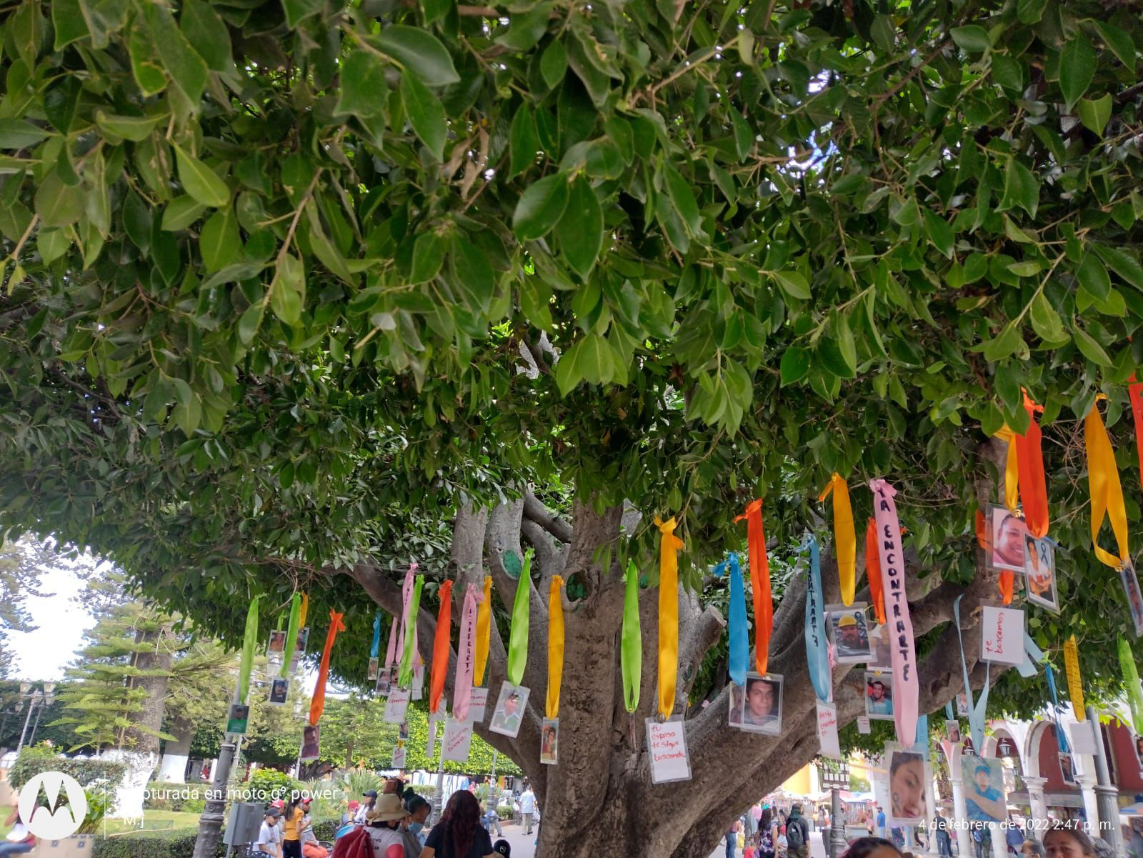 El Memorial acompaña la estructura natural de los árboles preexistentes para sostenerse. Cada pieza del memorial es una cinta atada a un árbol con declaraciones escritas, una fotografía laminada de la persona desaparecida con información escrita sobre cuándo y dónde fue vista por última vez.