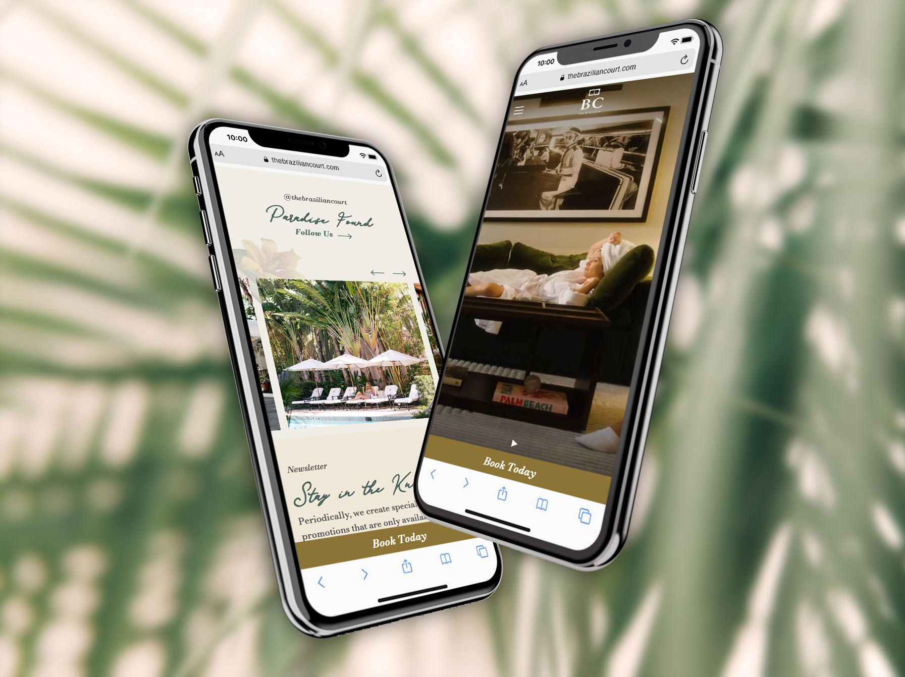 two phones displaying part of the home page with palm fronds in the background