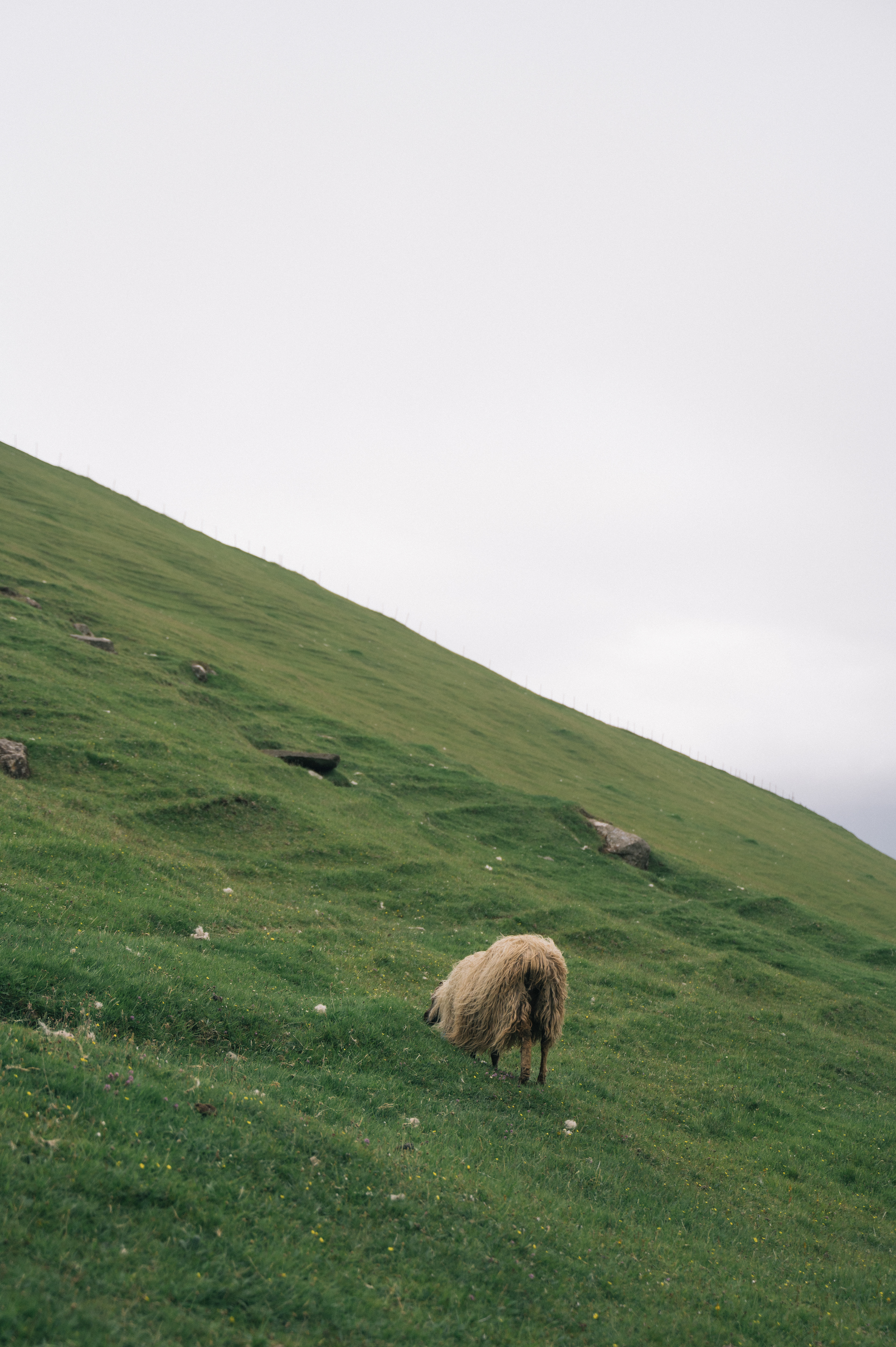 Faroe 4