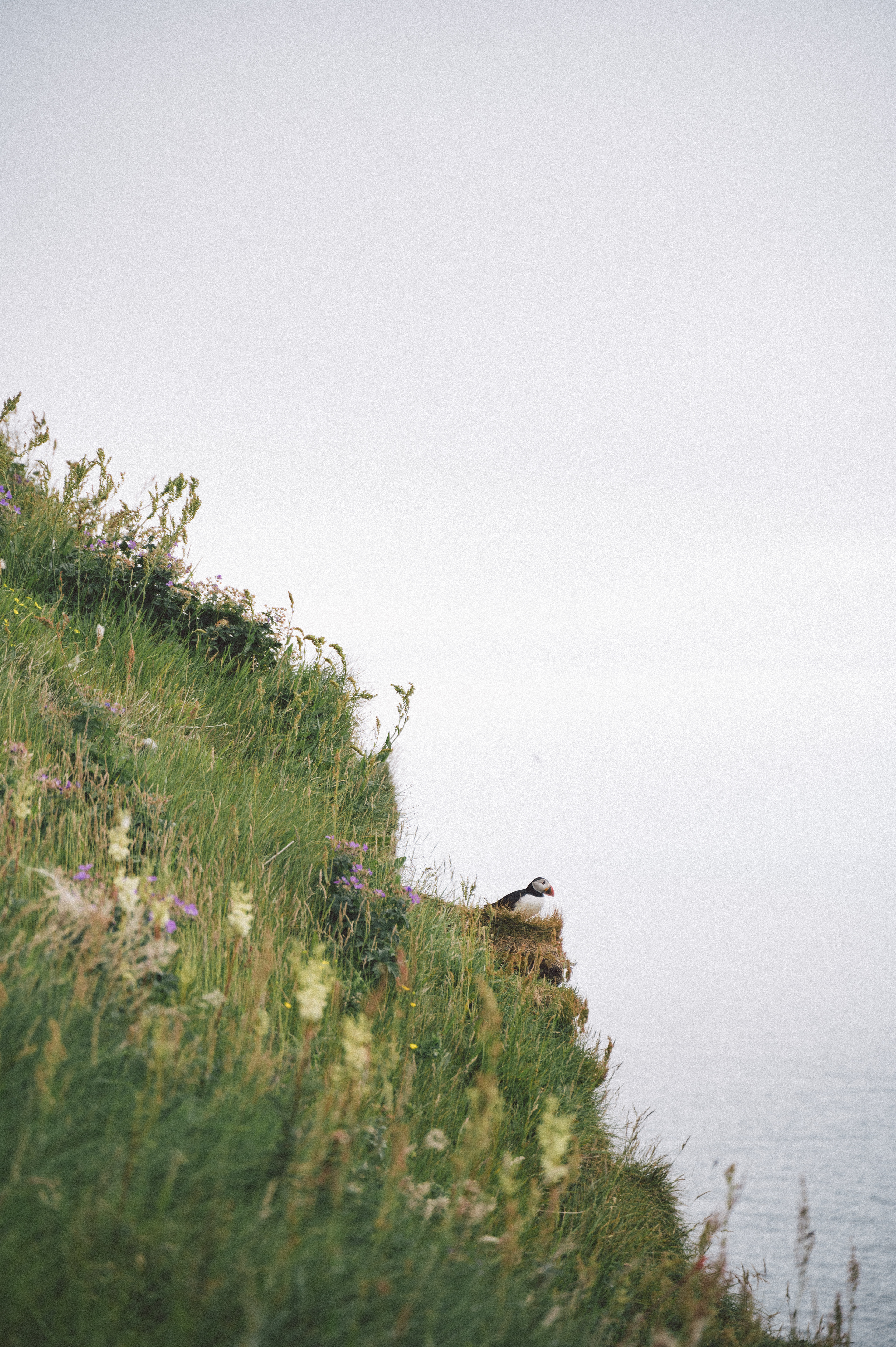 Faroe 3