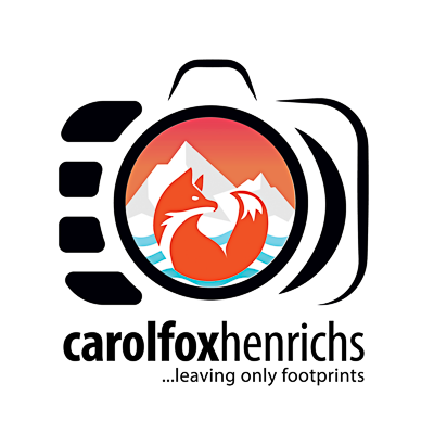 CAROL FOX HENRICHS