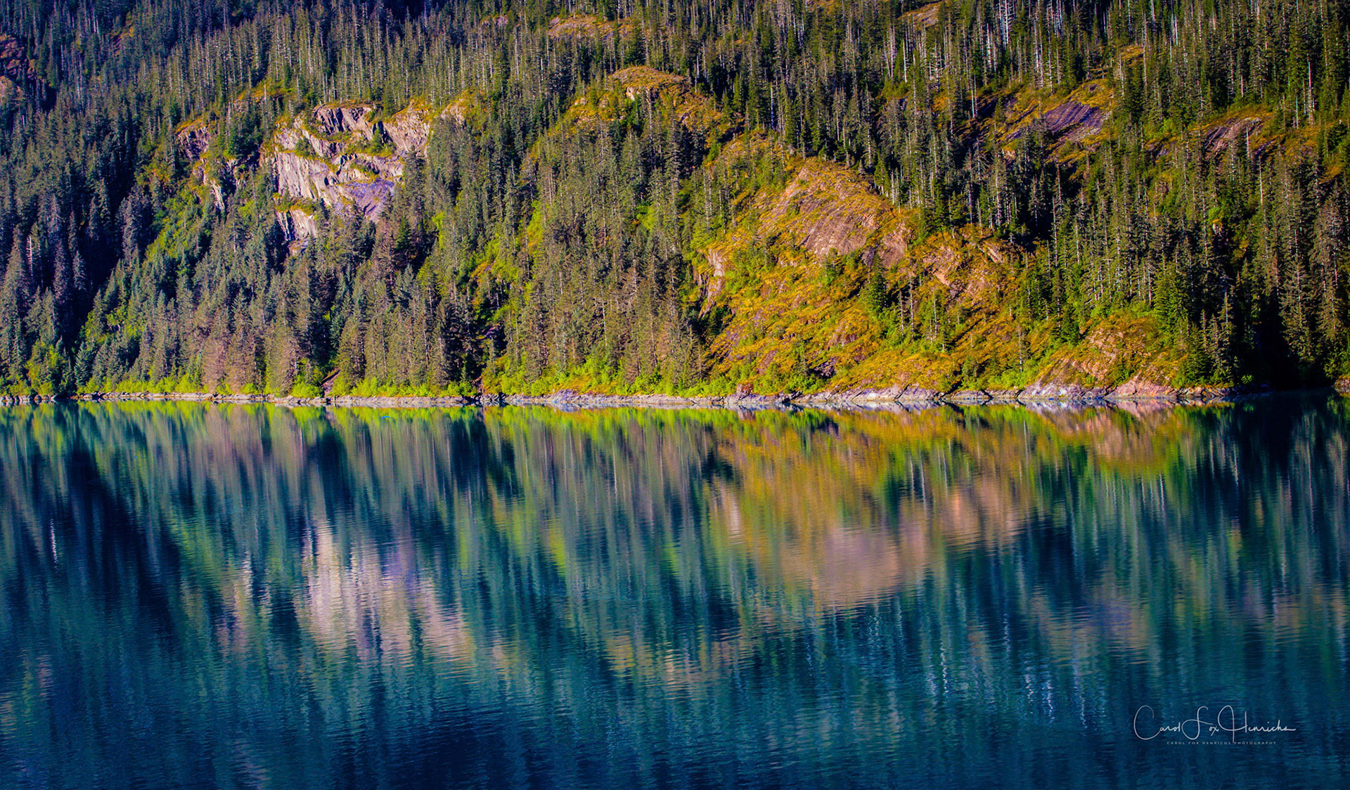 Nature's Kaleidoscope