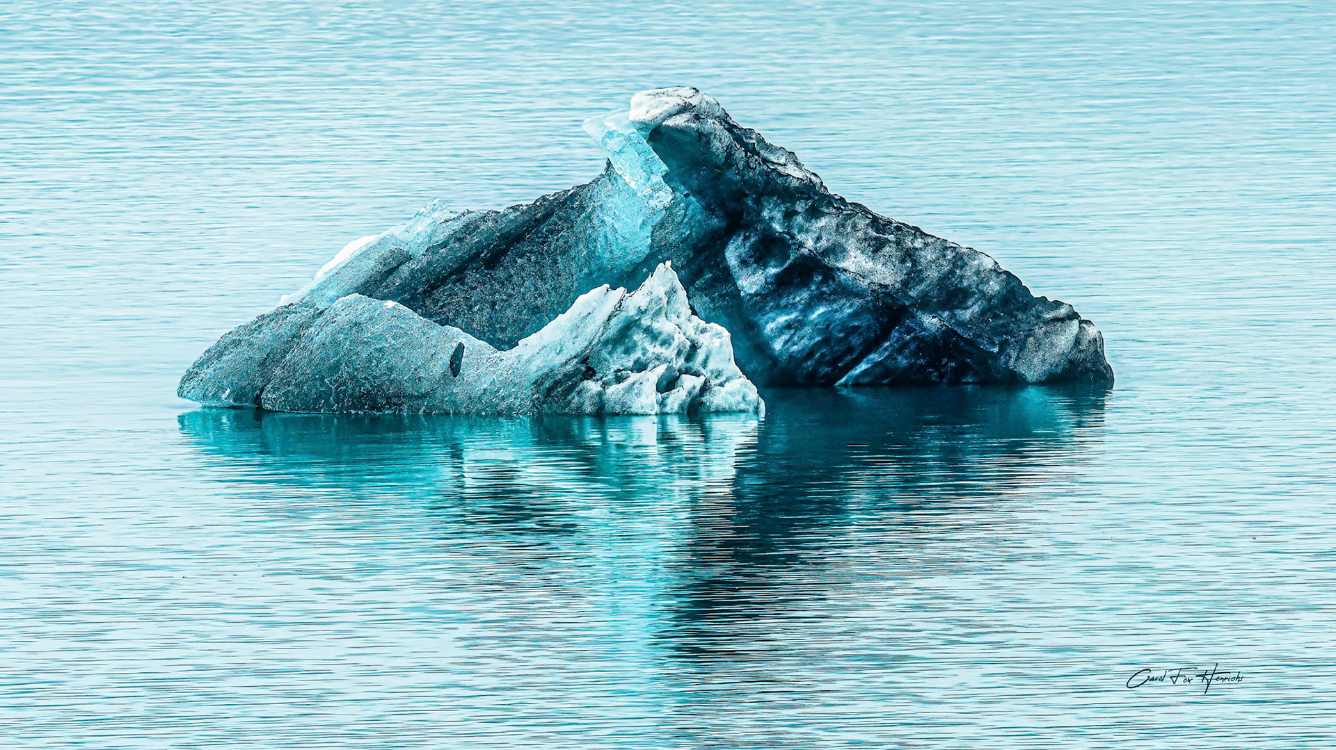 Growler Ice Bit in Glacier Bay National Park