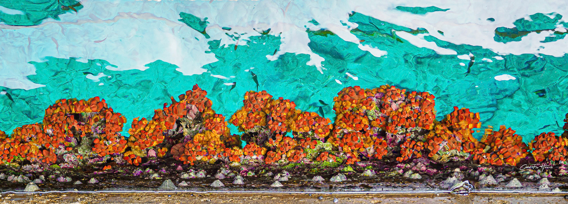 Standing on the side of the dock, looking down into the water.