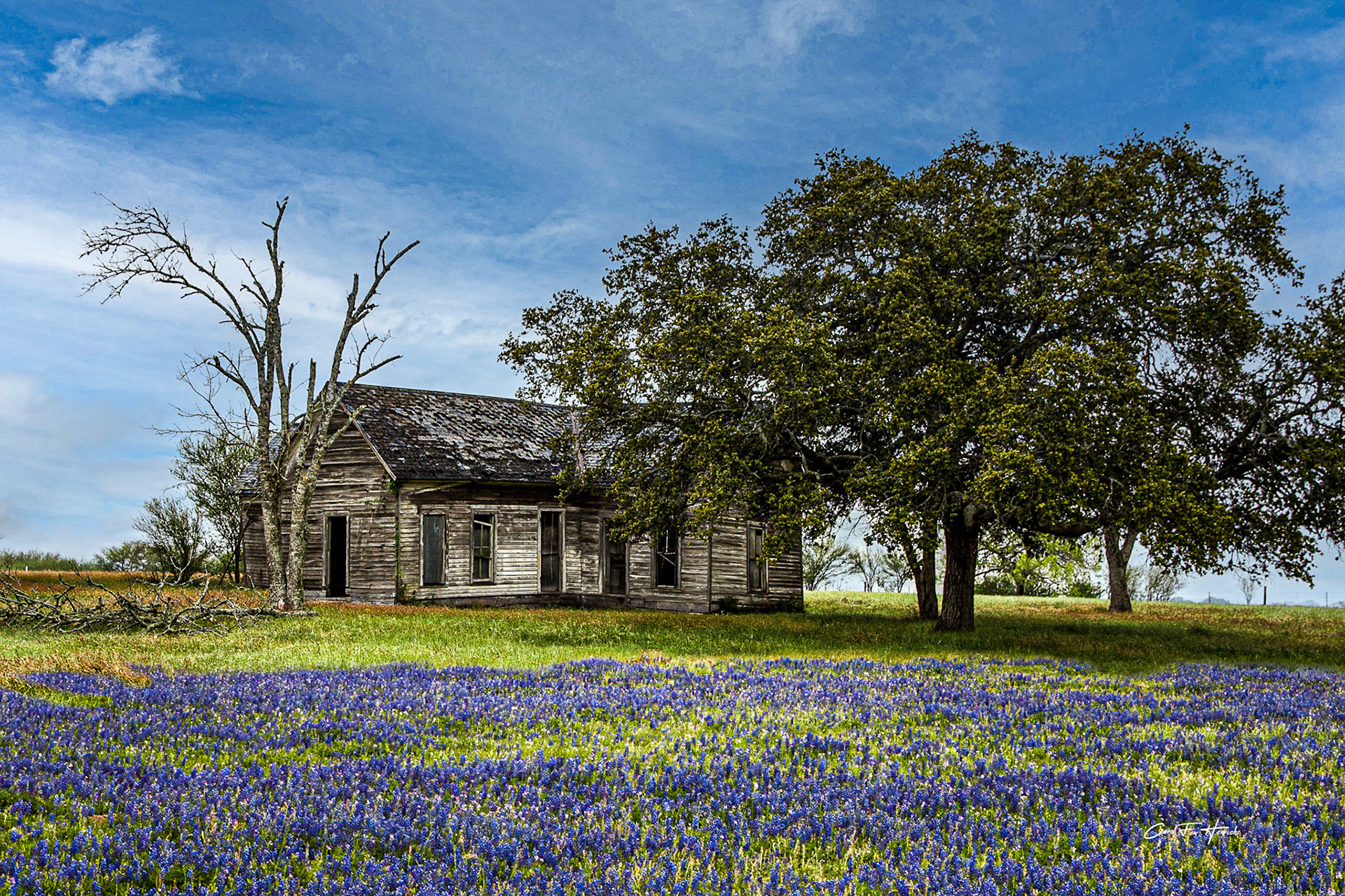 Homestead - Spring 2014