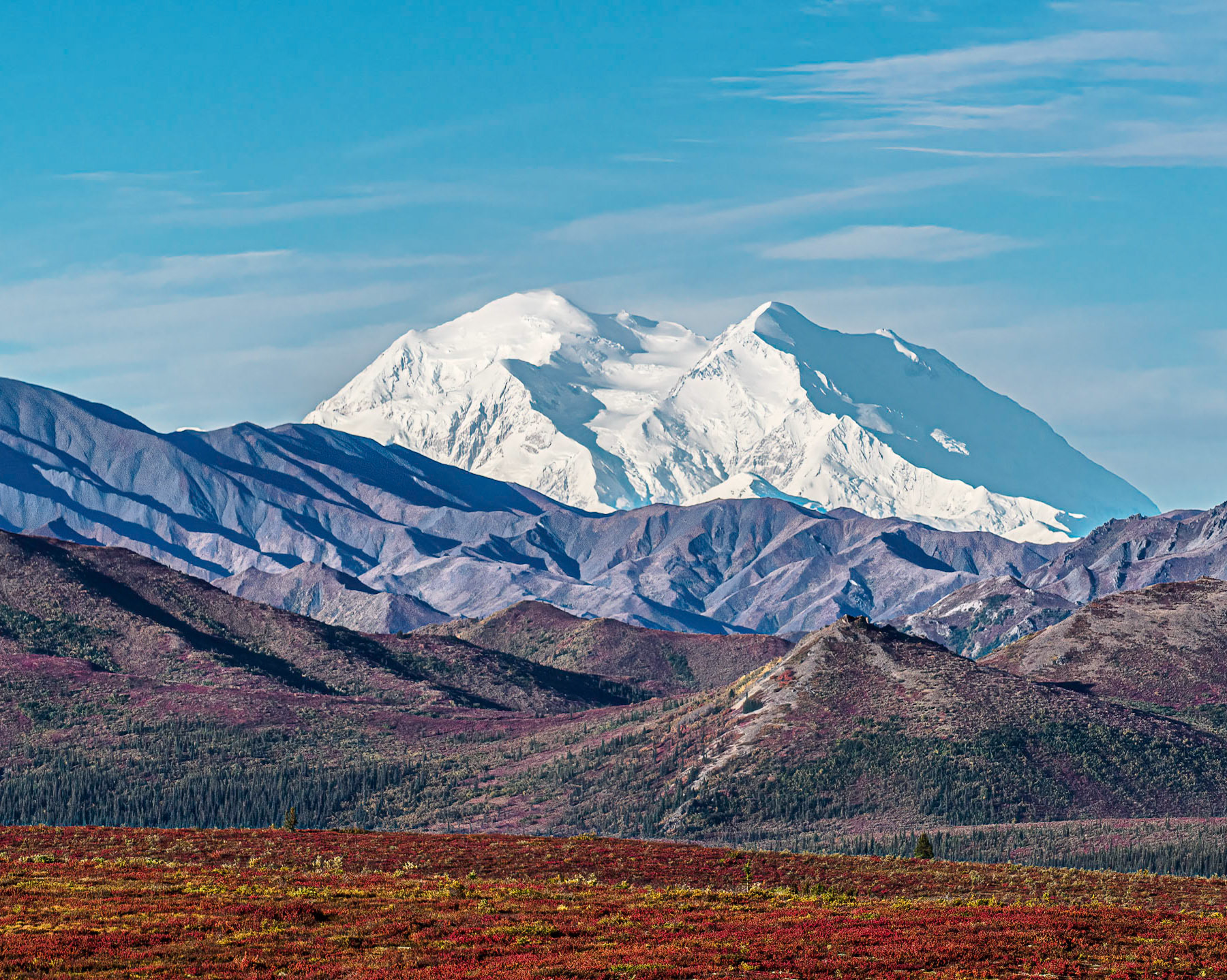 Mt. Denali
