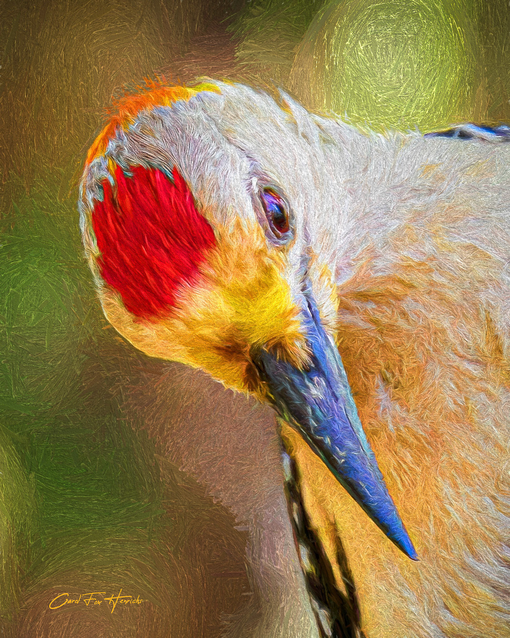 Golden-fronted Woodpecker