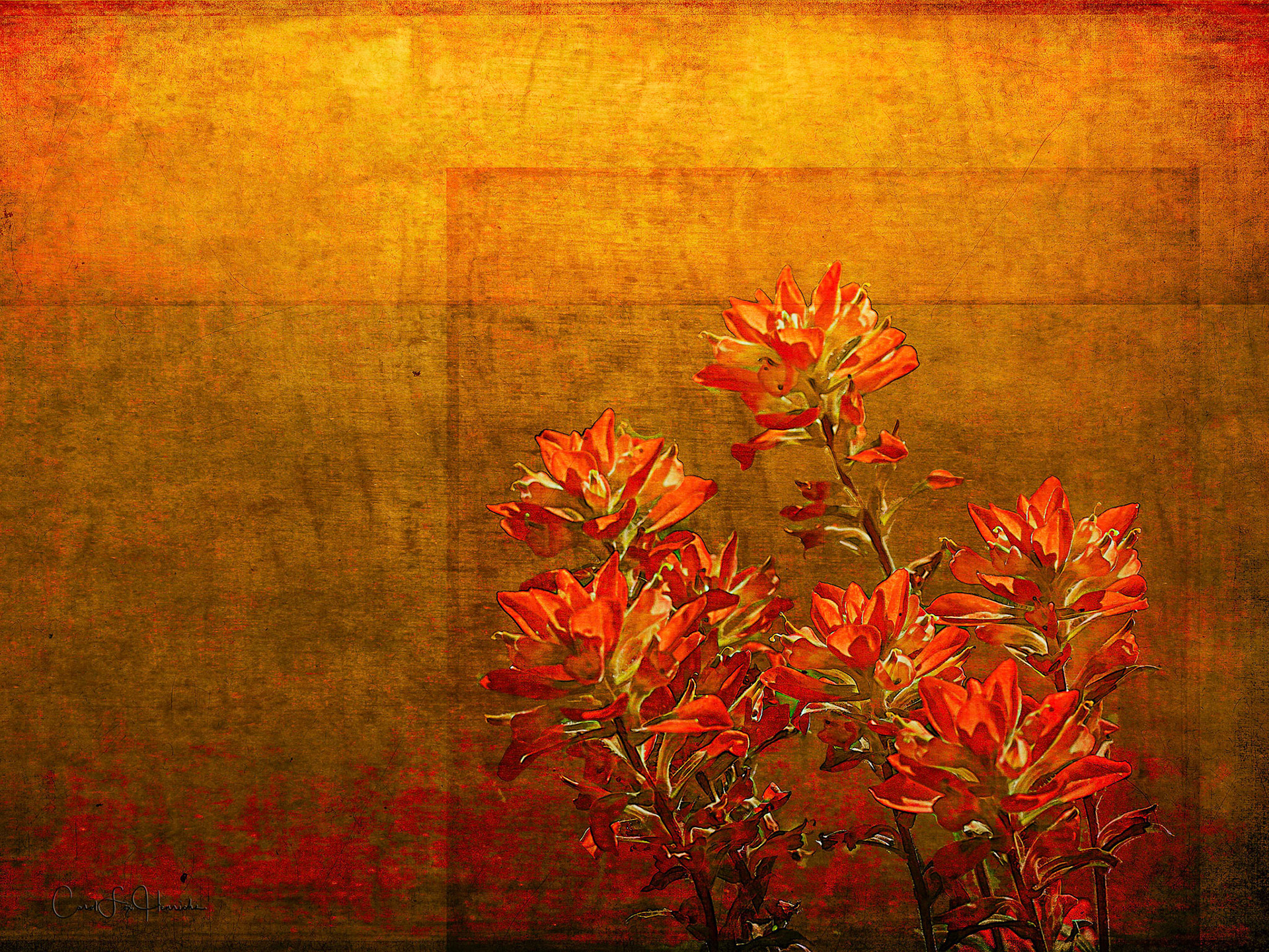 Paintbrush on the Horizon