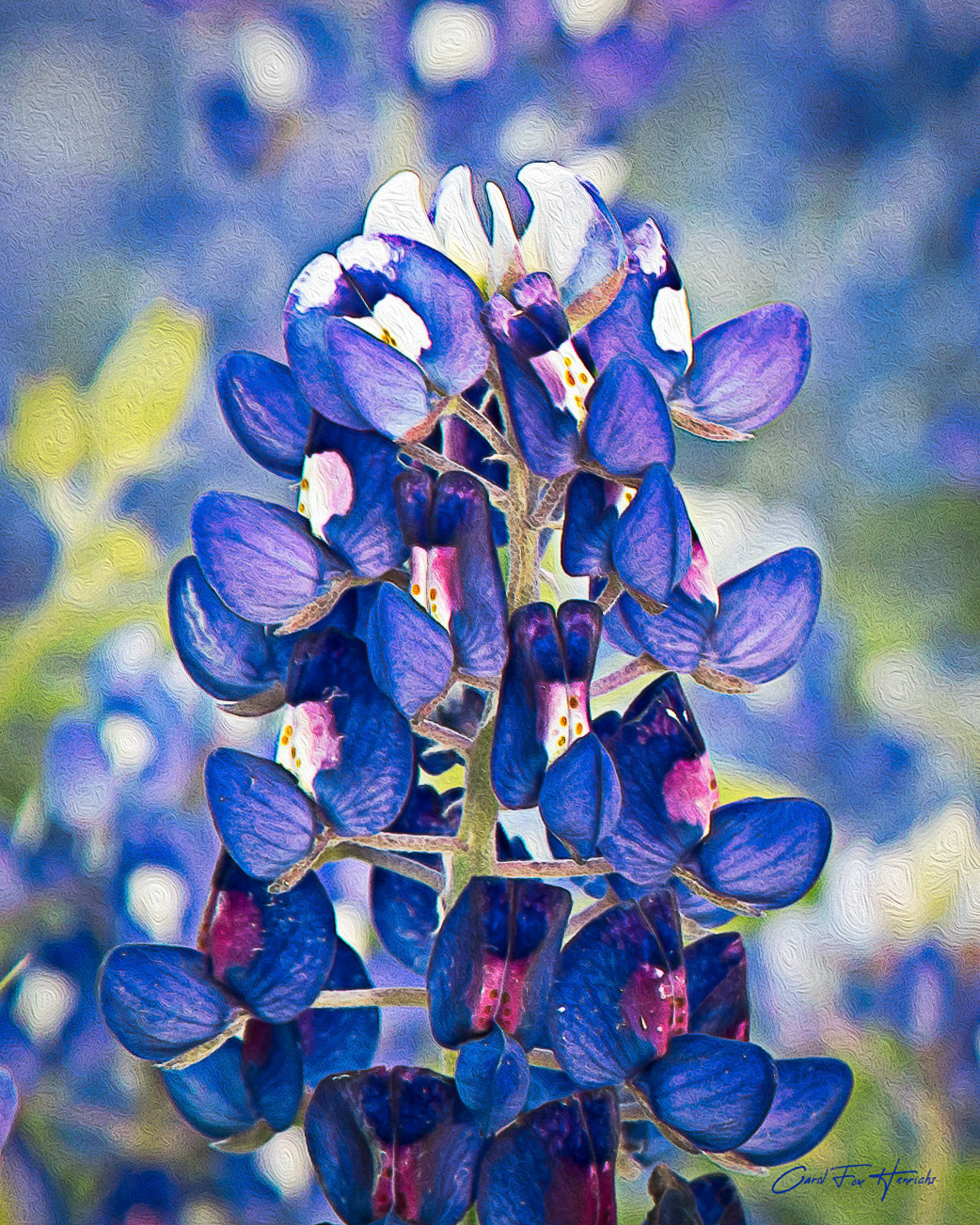 Painterly Bluebonnet
