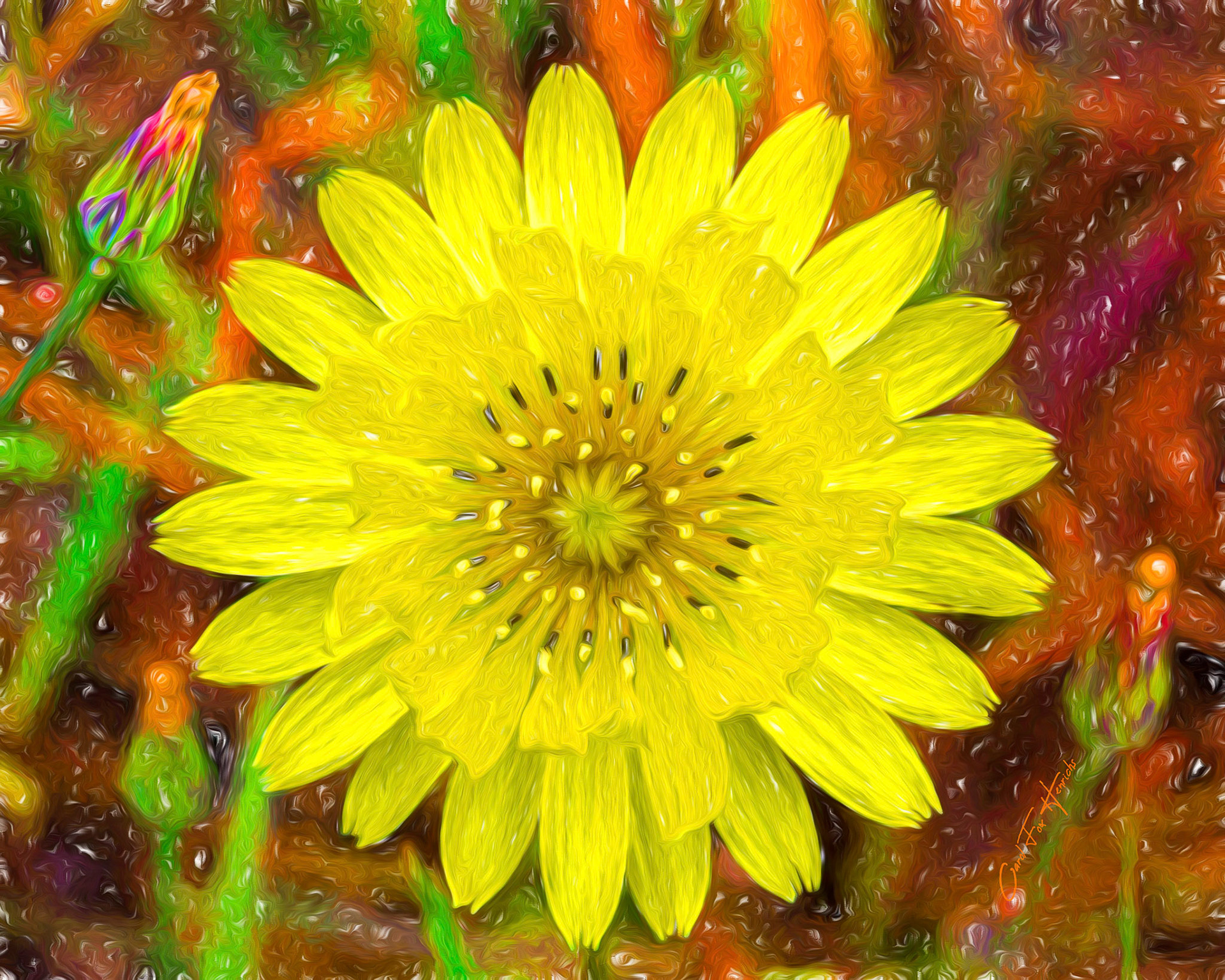 Texas Dandelion Summer