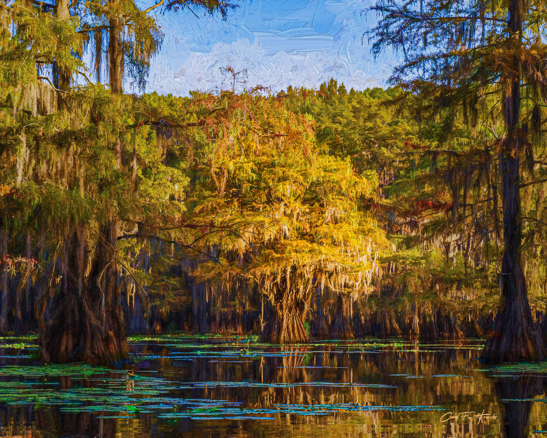 Morning Reflections in the Swamp