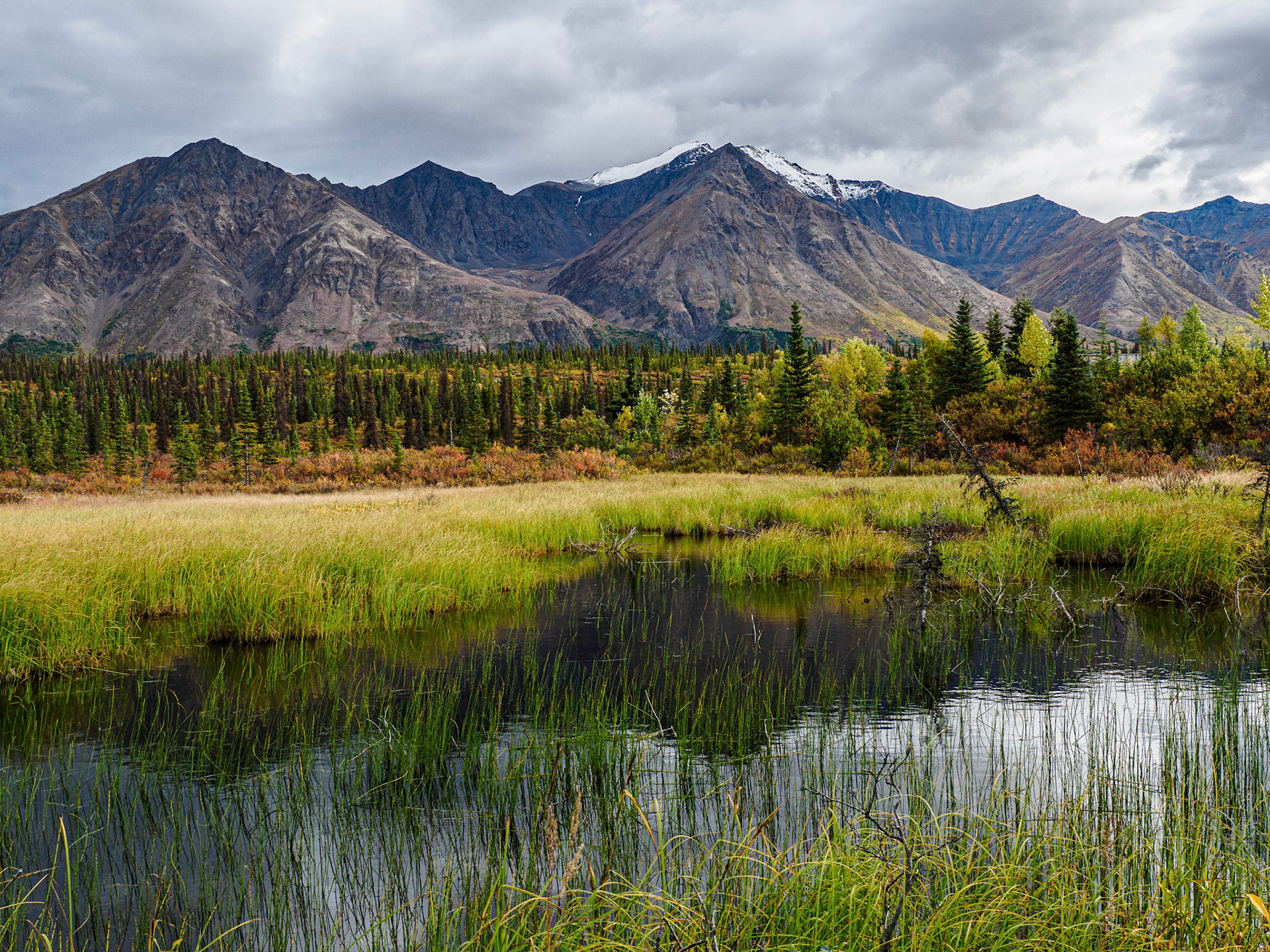 Moutain View in Cantwell, Alaska