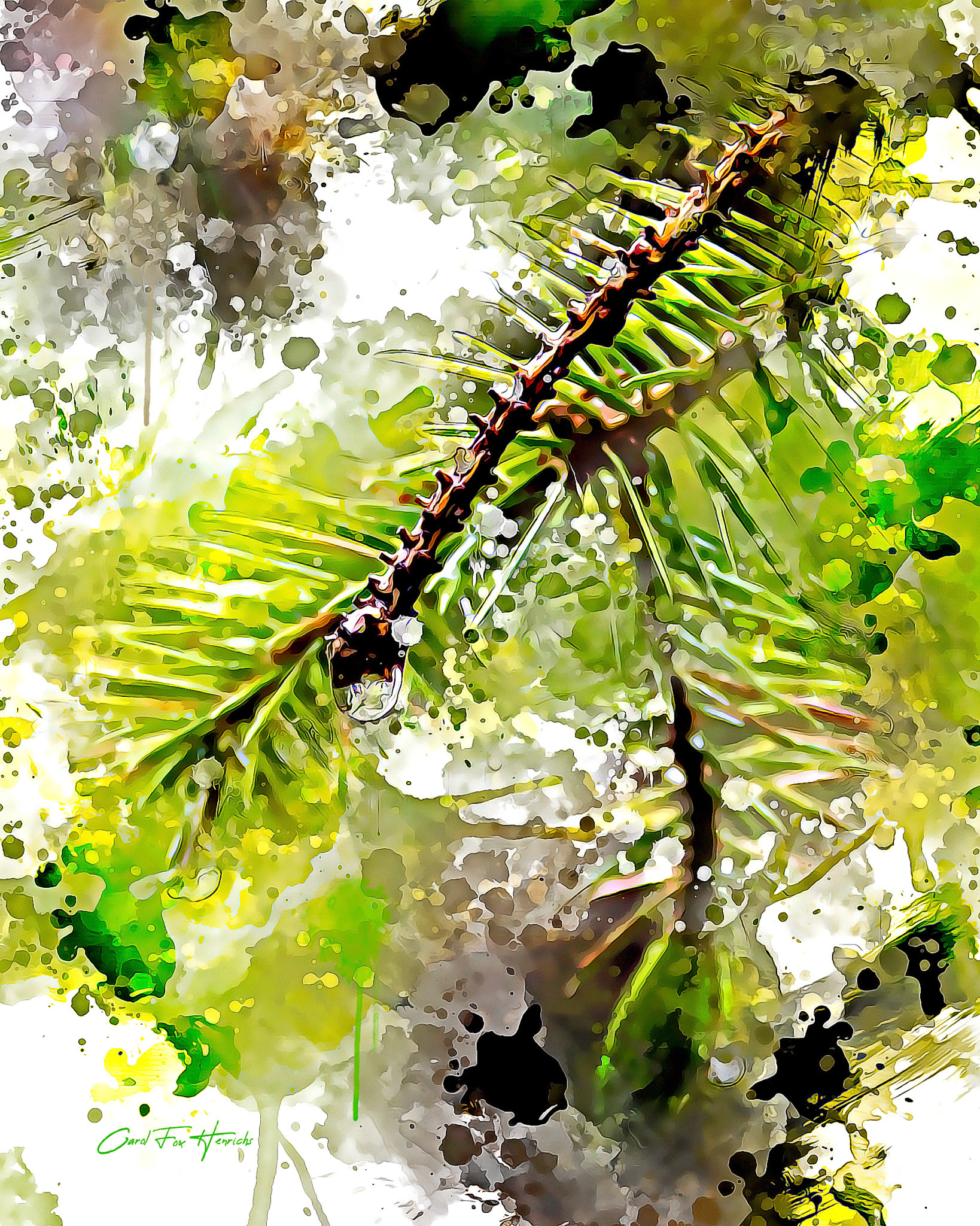 Nature's Air Freshener