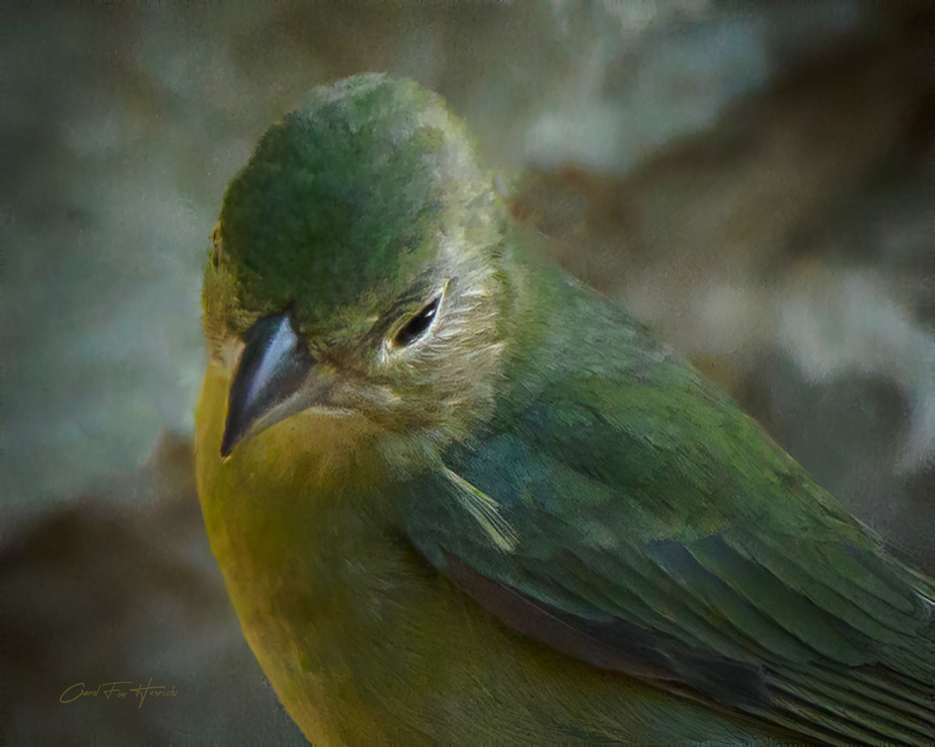 Olympus E0M1X, Leica DG 100-400; ISO 1000, f/6.3, 1/500 sec; South Llano River State Park, TX; June 2022