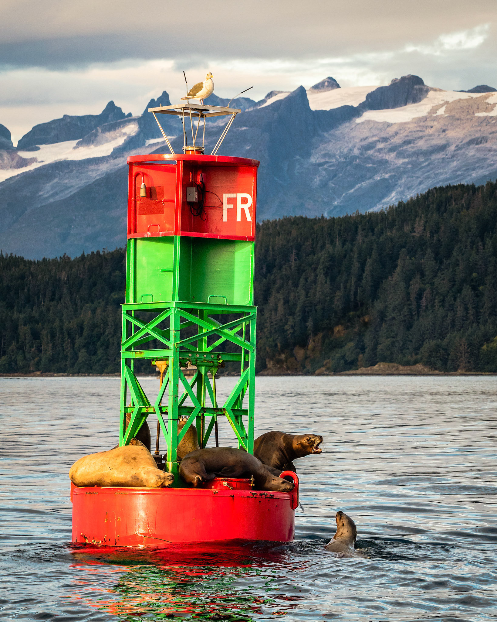 The Perks of Seniority