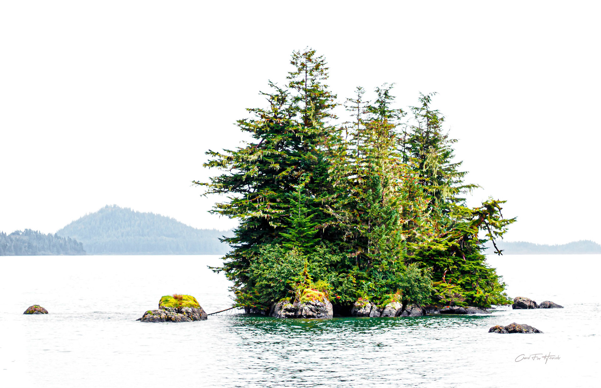 "Seeking Solace", Prince William Sound