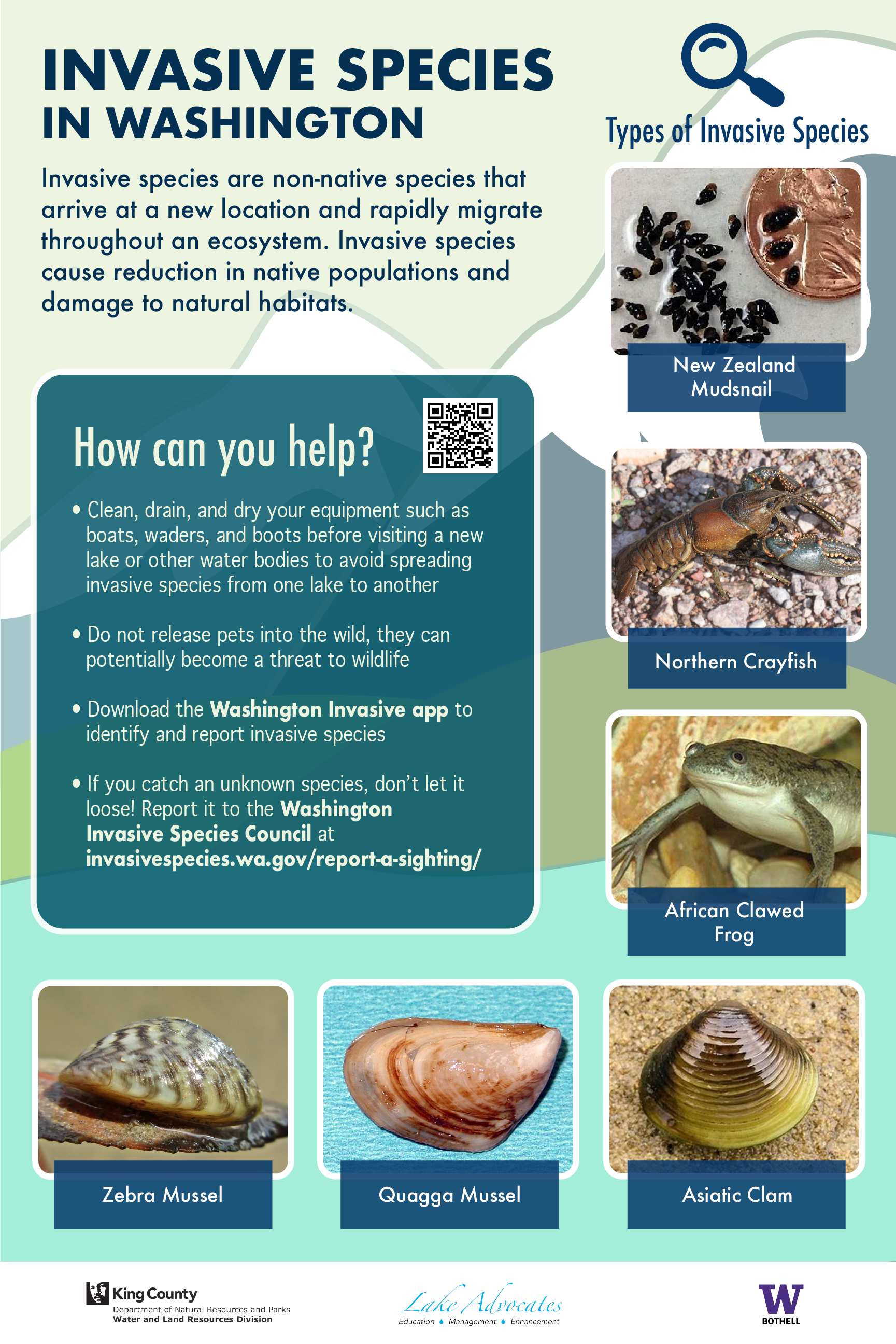 Invasive Species